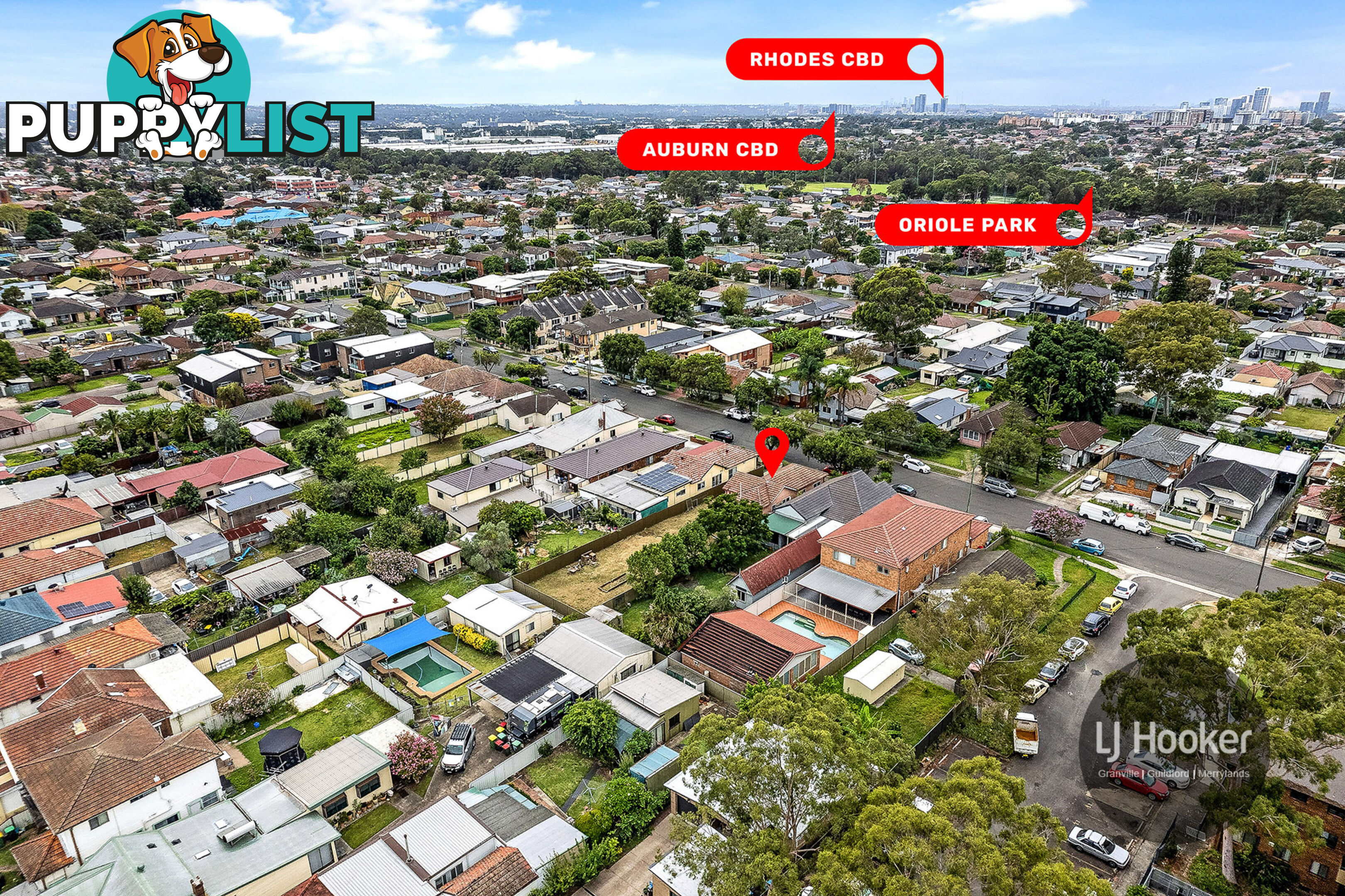 20 Pegler Avenue GRANVILLE NSW 2142