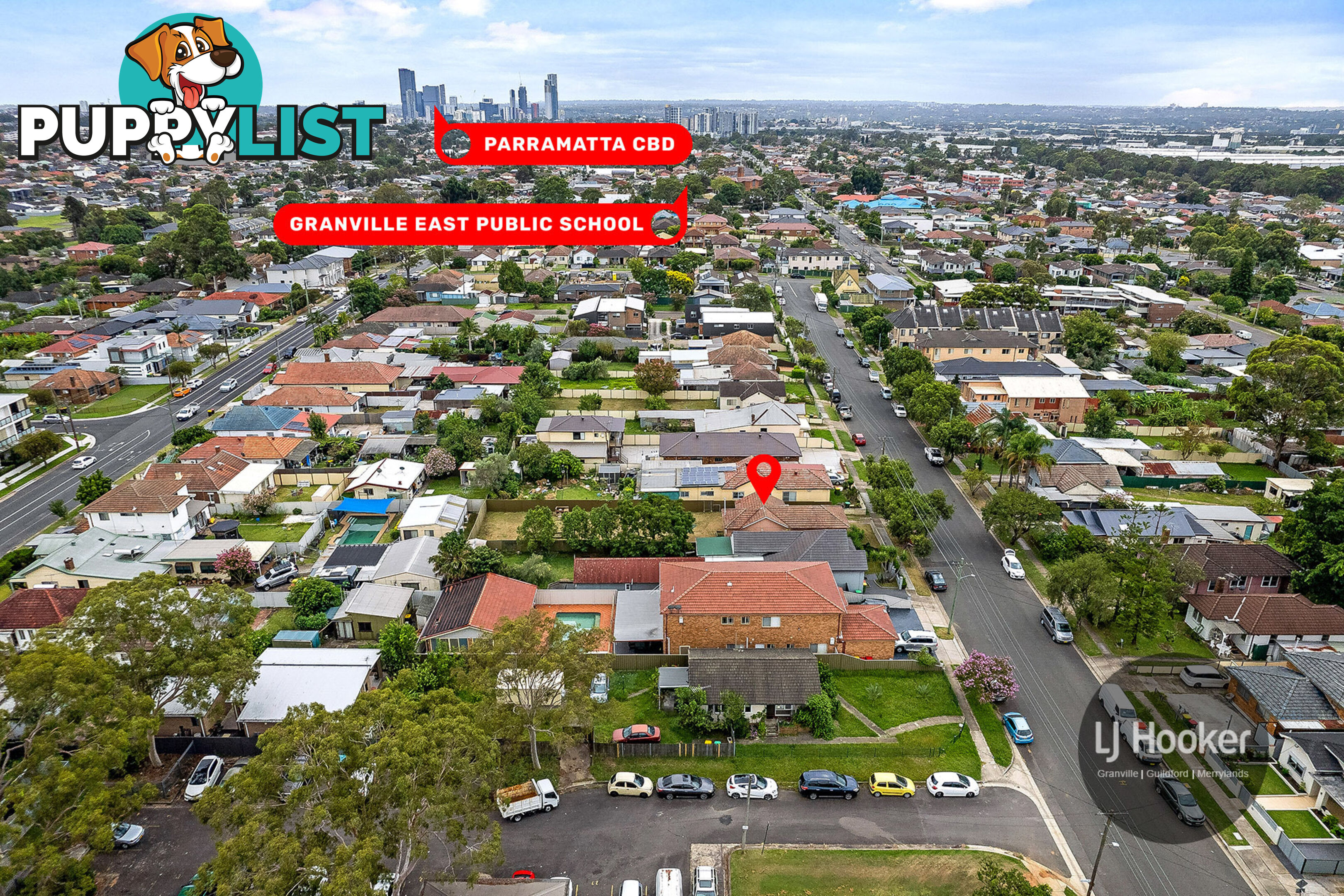 20 Pegler Avenue GRANVILLE NSW 2142