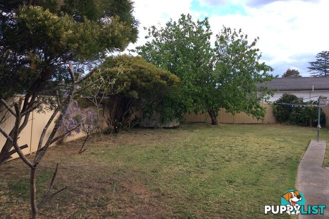 16 Janet Street MERRYLANDS NSW 2160