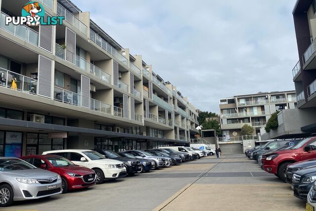 29A/79-89 Beaconsfield Street SILVERWATER NSW 2128