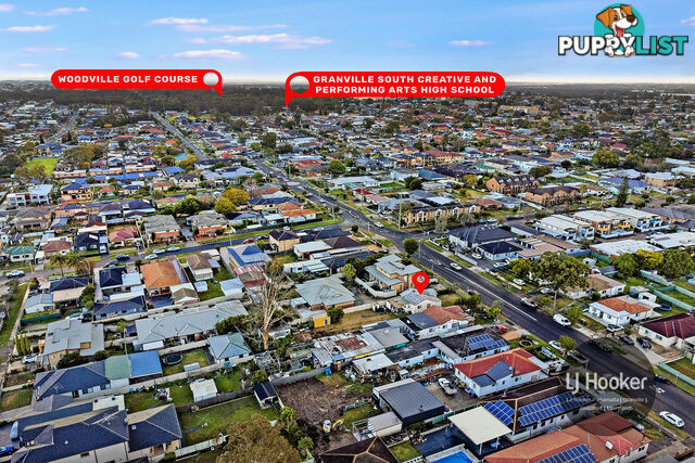 207 Excelsior Street GUILDFORD NSW 2161
