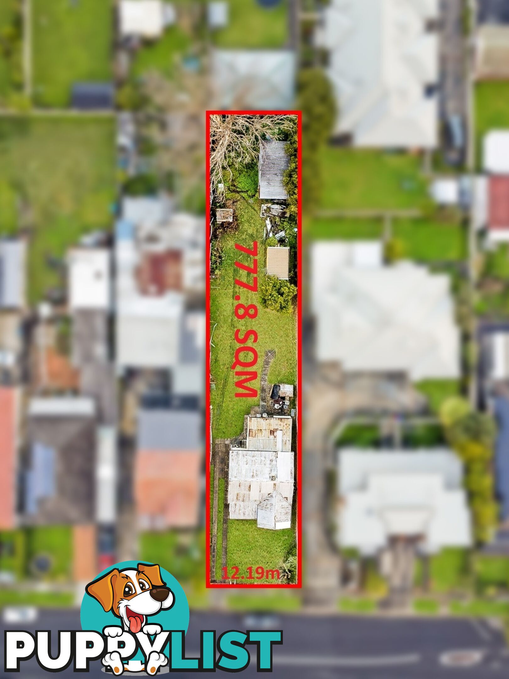 207 Excelsior Street GUILDFORD NSW 2161