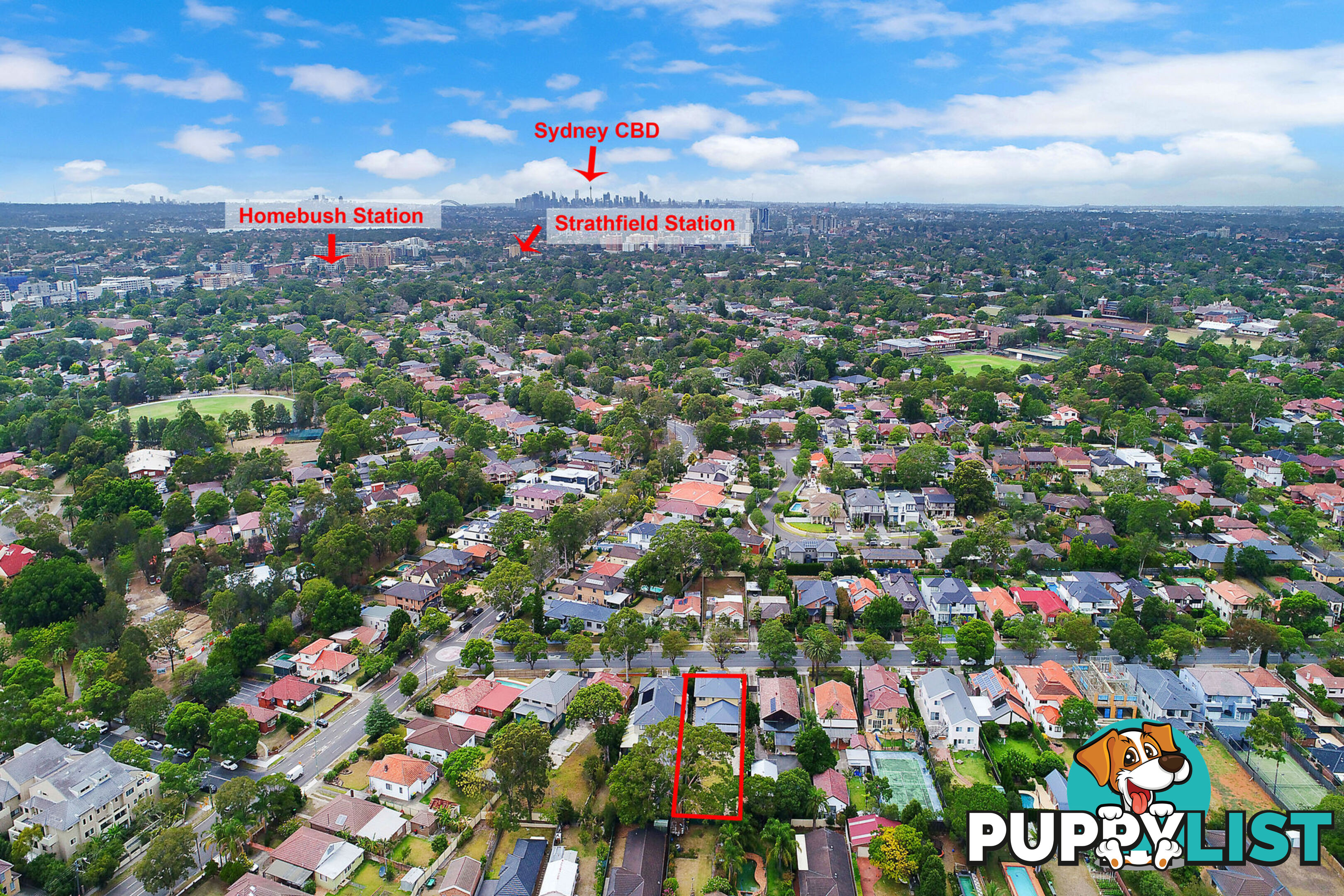 7 Pemberton Street STRATHFIELD NSW 2135