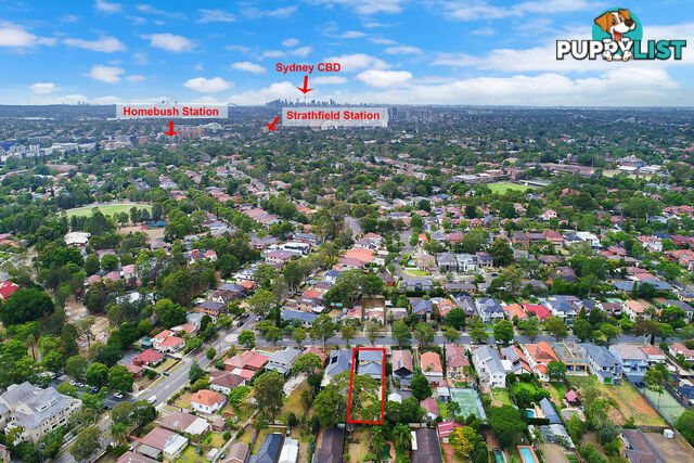 7 Pemberton Street STRATHFIELD NSW 2135