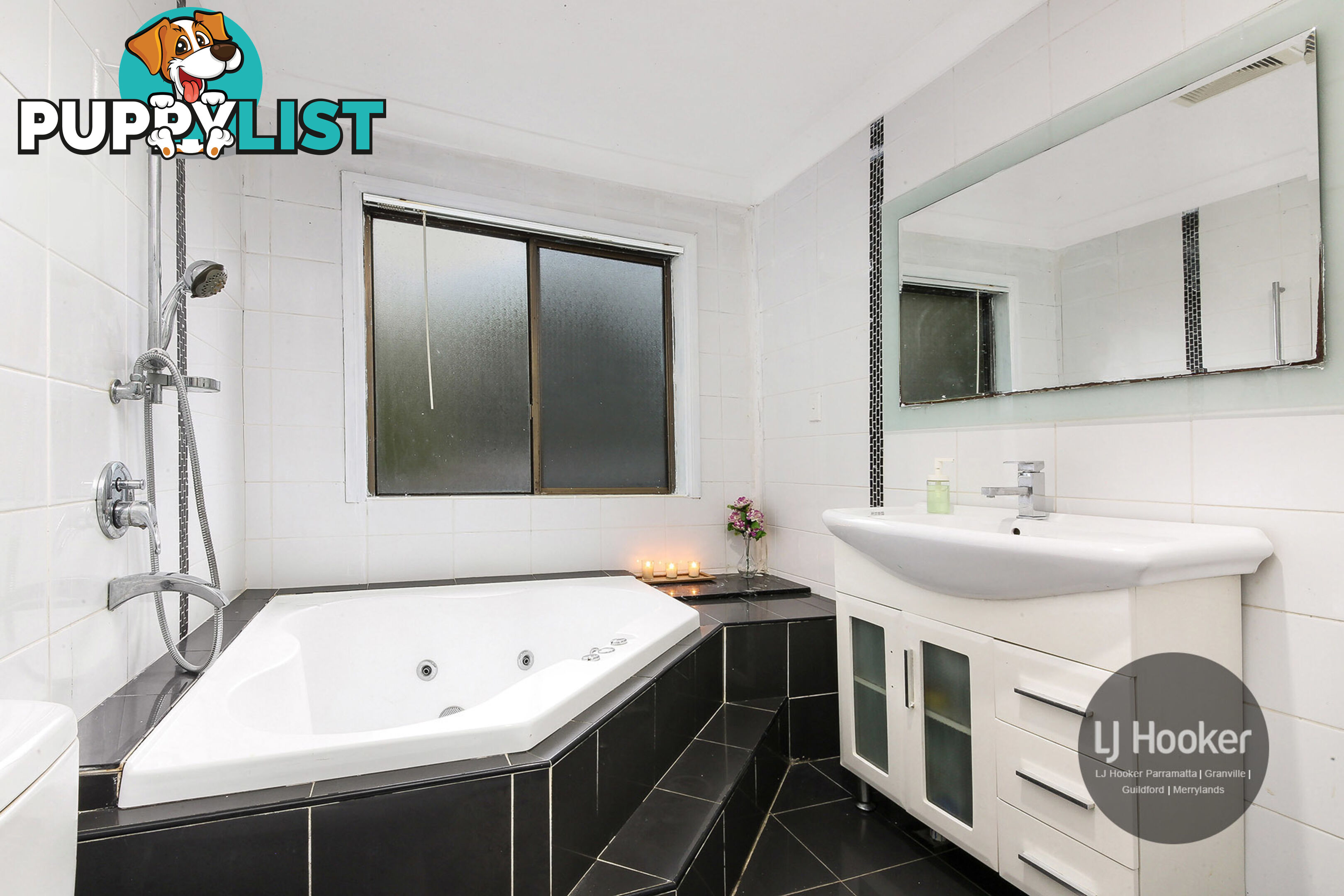 101 Excelsior Street MERRYLANDS NSW 2160