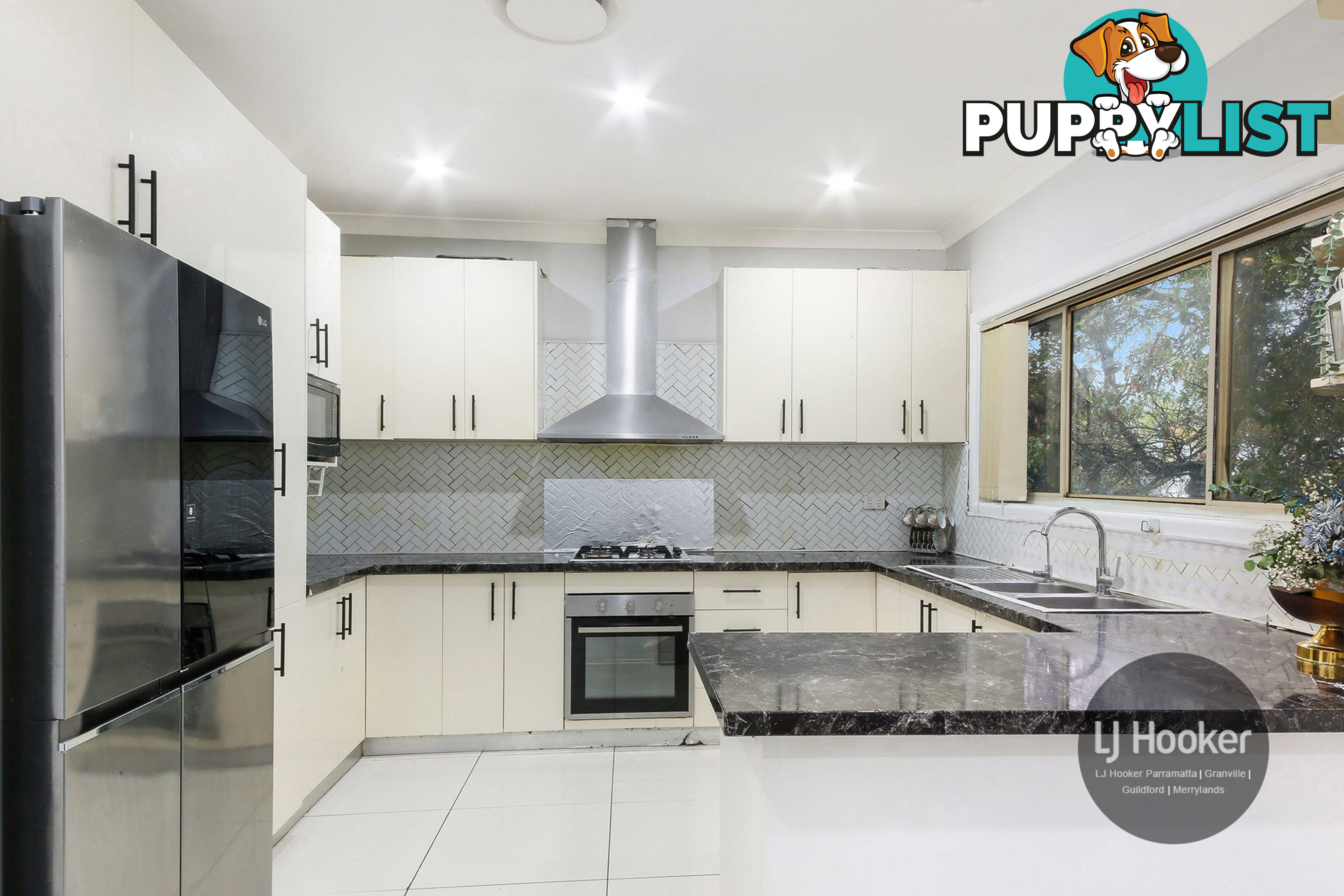 101 Excelsior Street MERRYLANDS NSW 2160