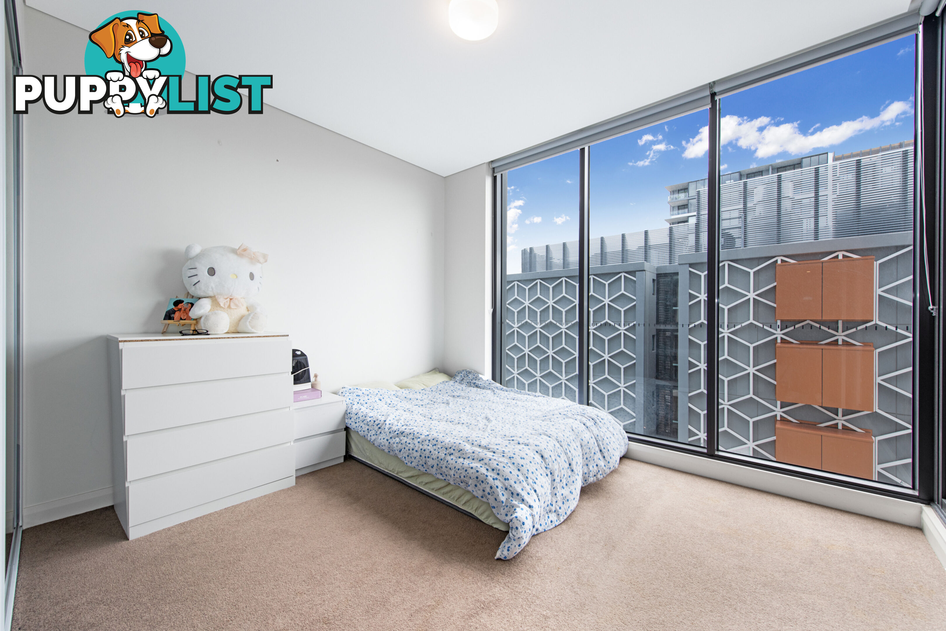 1307/29 East Street GRANVILLE NSW 2142