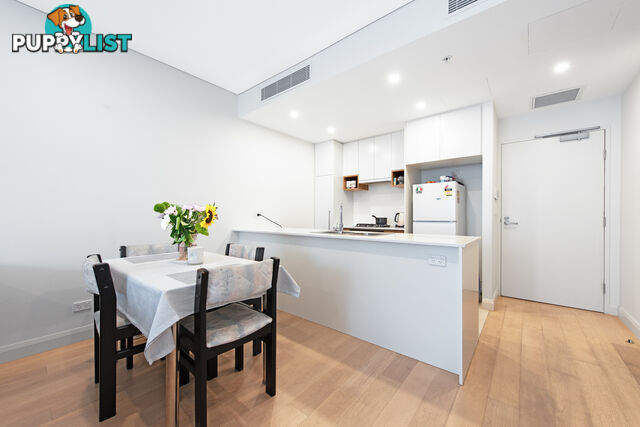 1307/29 East Street GRANVILLE NSW 2142