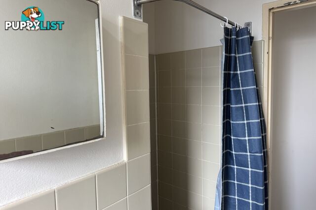 54/10-12 Bridge Street GRANVILLE NSW 2142