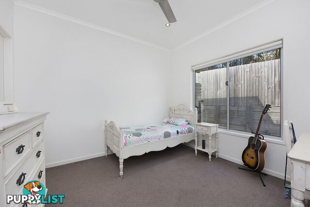 16 Tea Tree Grove Peregian Springs QLD 4573