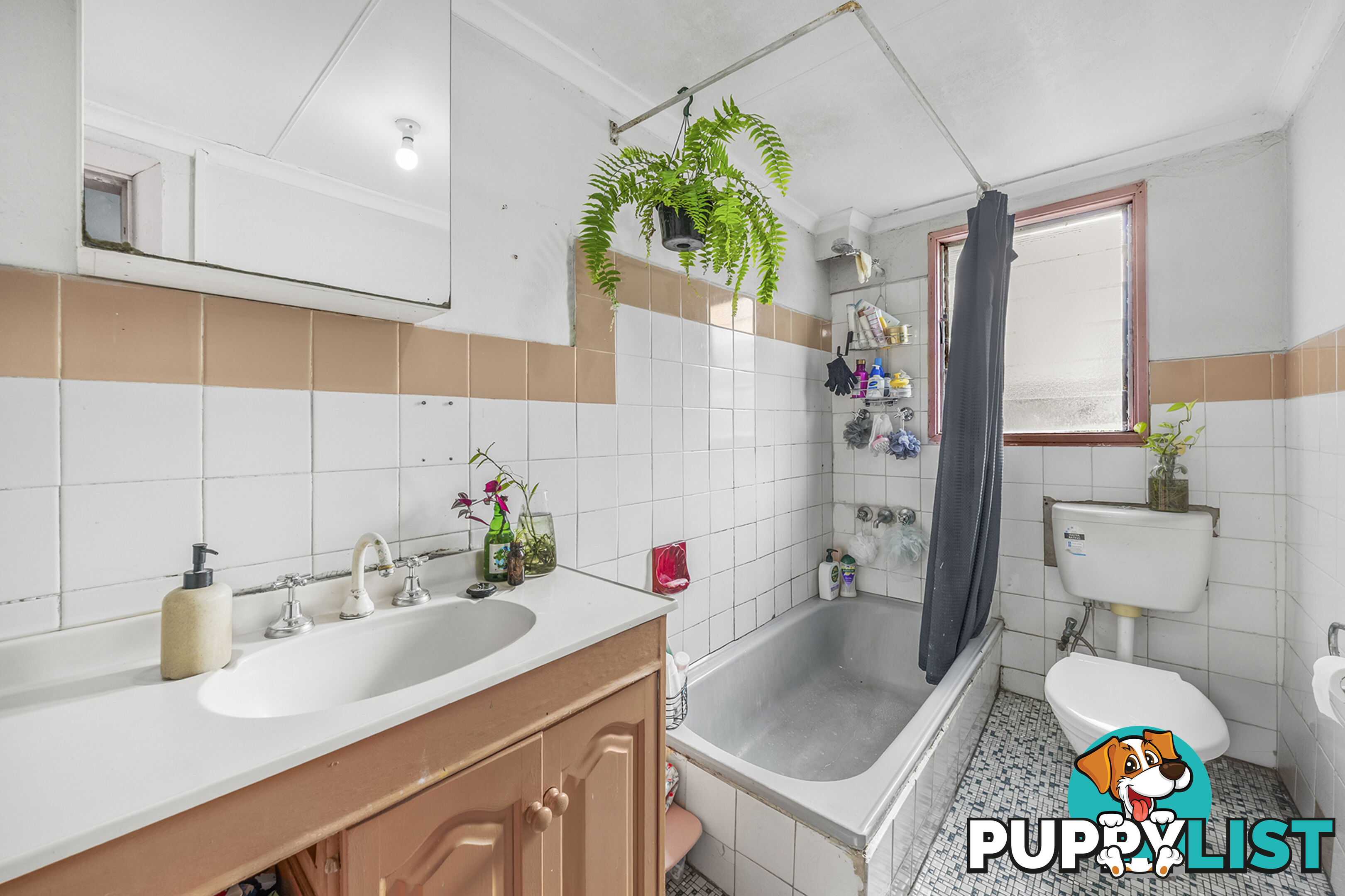 43 May Street ST PETERS NSW 2044