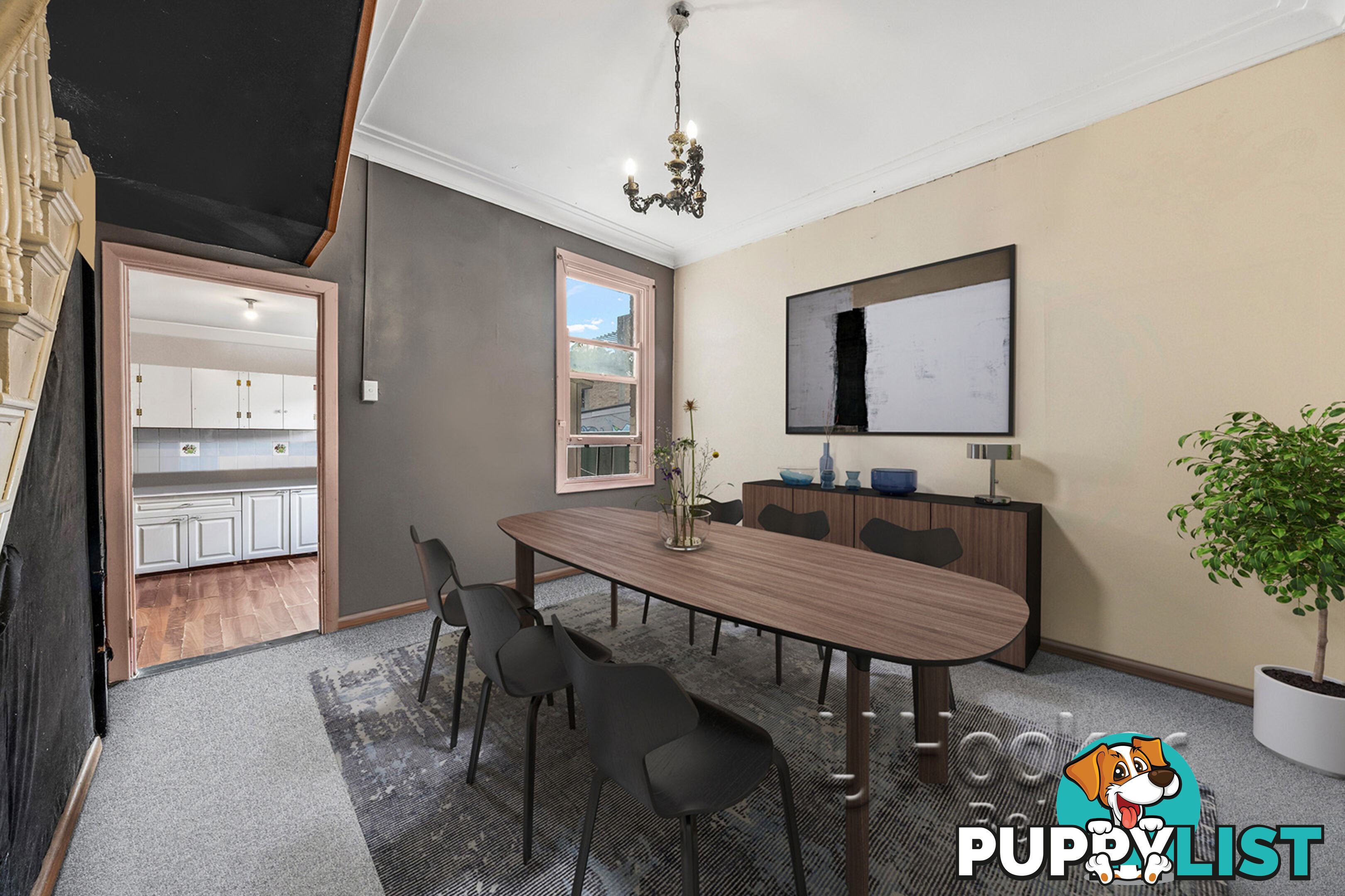 43 May Street ST PETERS NSW 2044