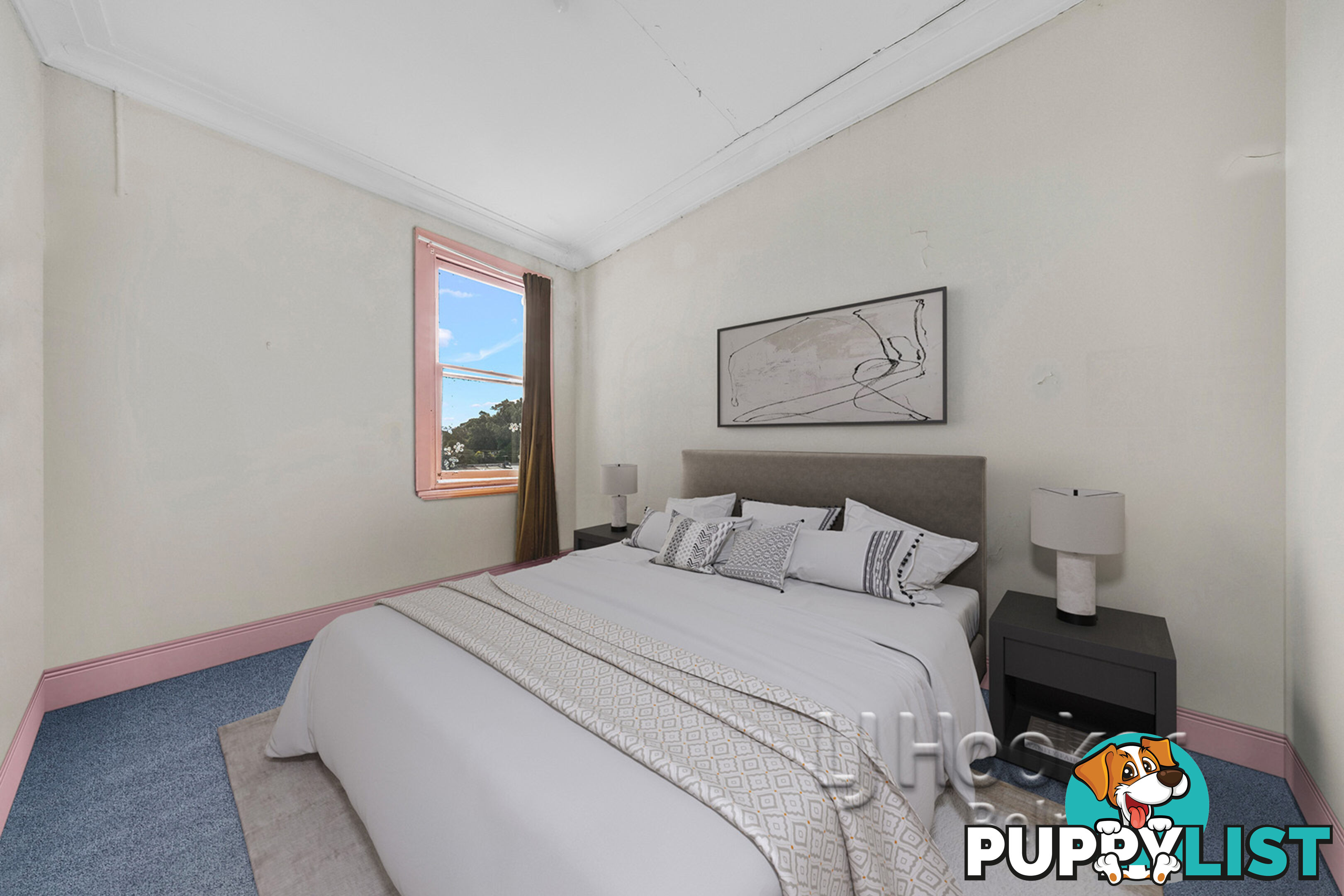 43 May Street ST PETERS NSW 2044