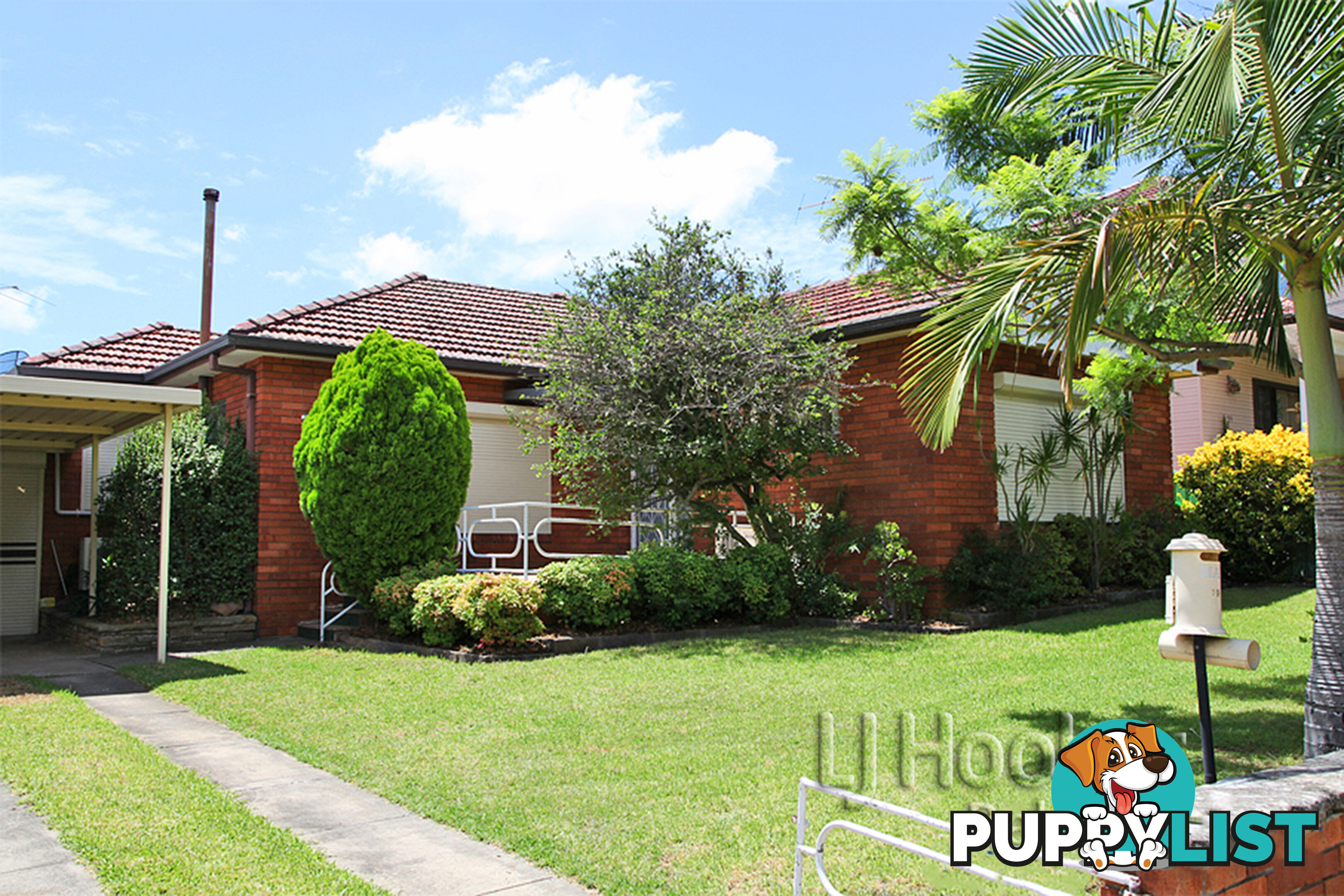 19 Eleanor Avenue BELMORE NSW 2192