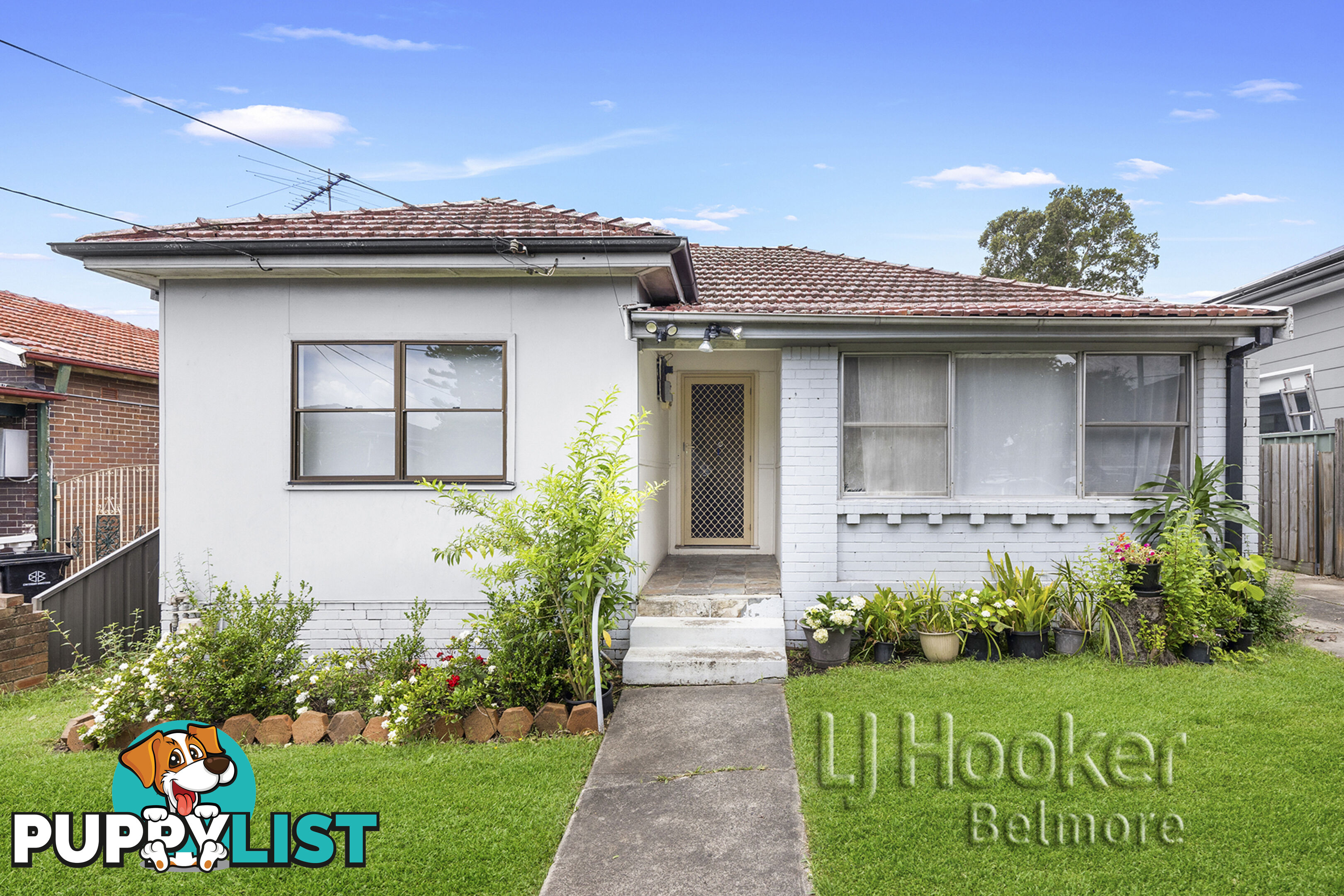 3 Vivienne Avenue LAKEMBA NSW 2195