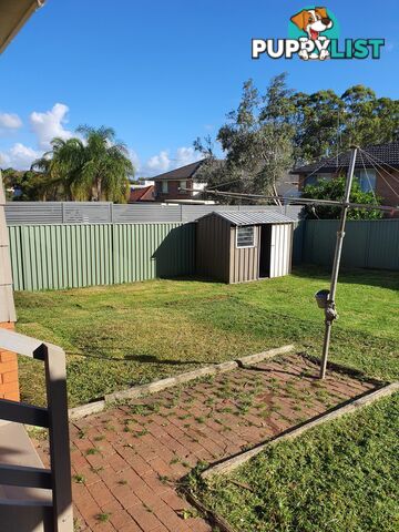 16 Lucinda Ave GEORGES HALL NSW 2198