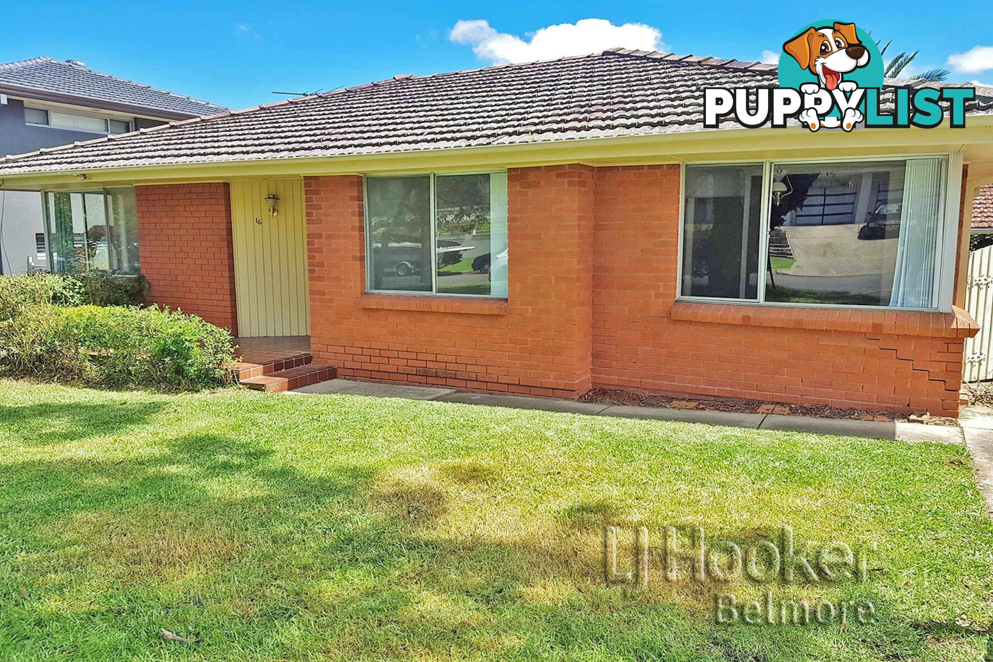16 Lucinda Ave GEORGES HALL NSW 2198