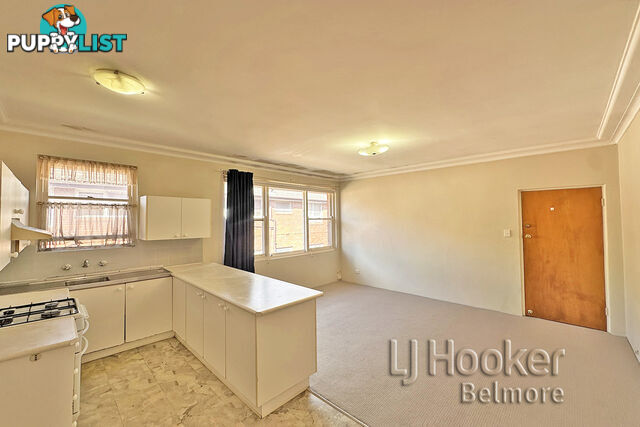 6/17 St Clair Street BELMORE NSW 2192