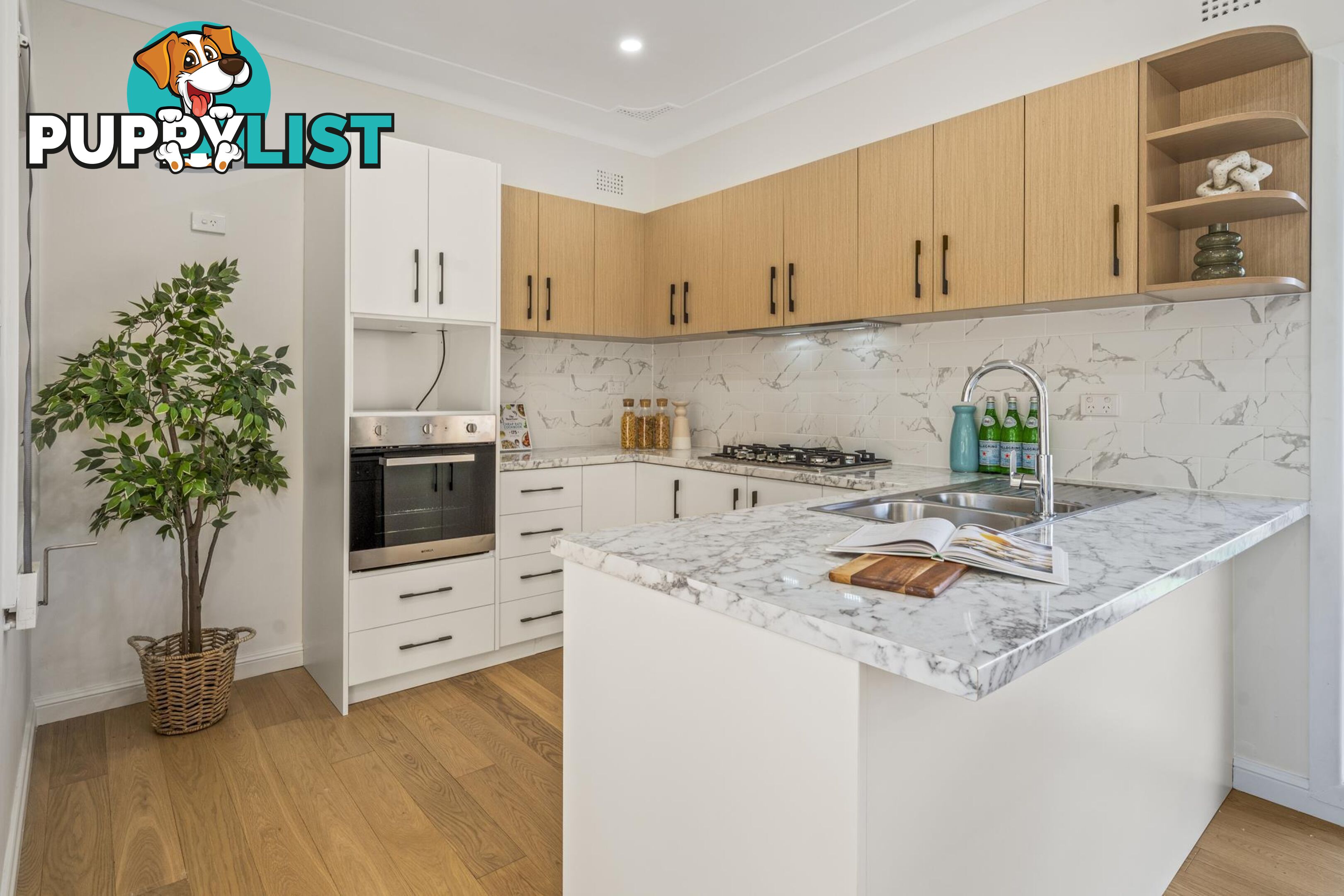 19 Eleanor Avenue BELMORE NSW 2192