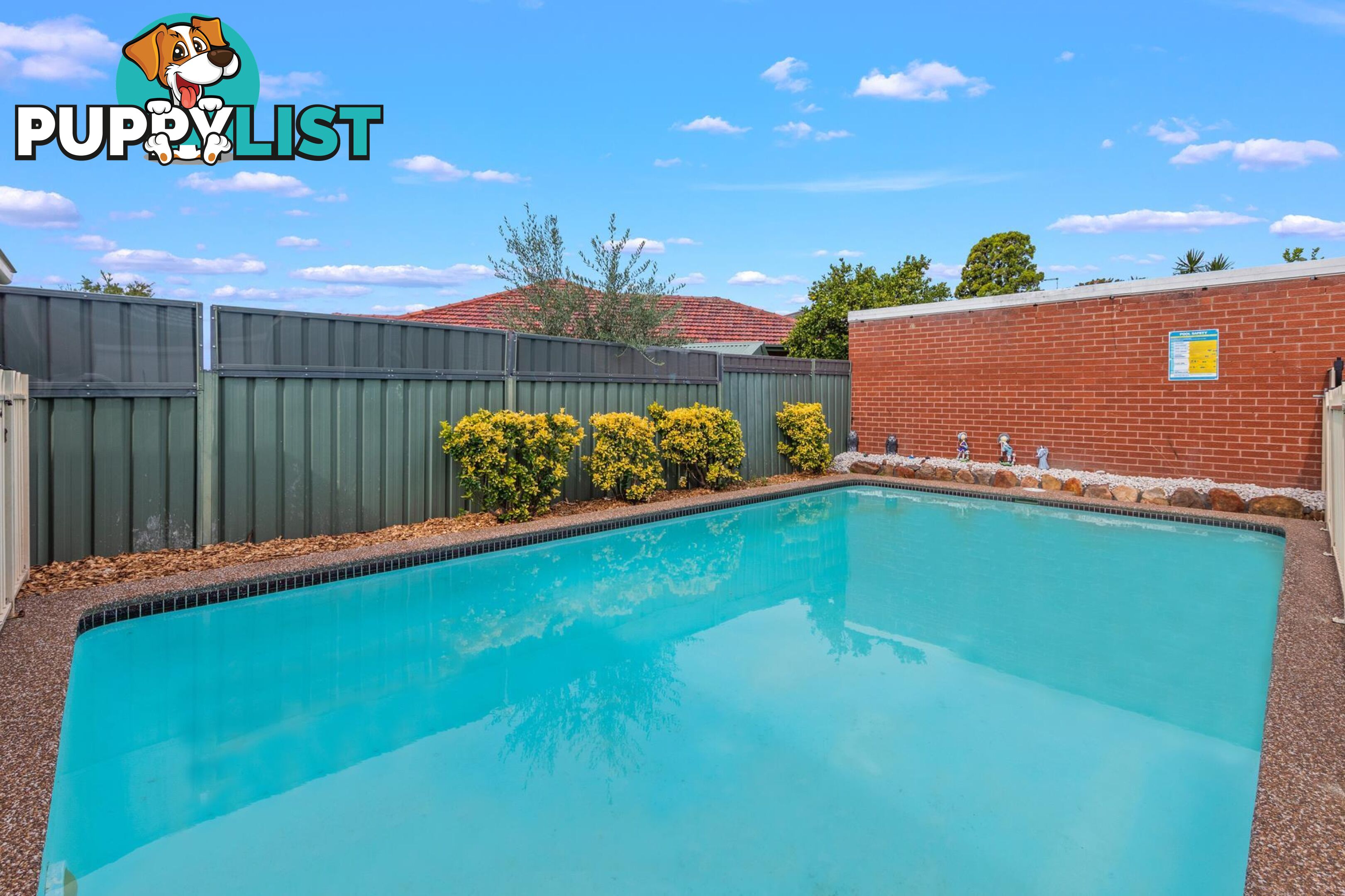 19 Eleanor Avenue BELMORE NSW 2192