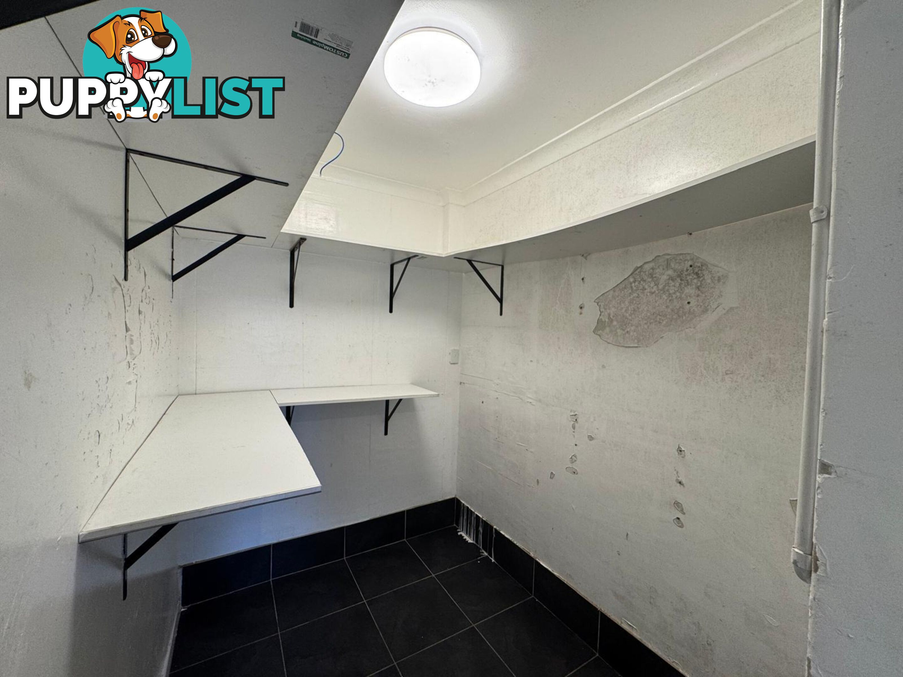 310 Burwood Road BELMORE NSW 2192