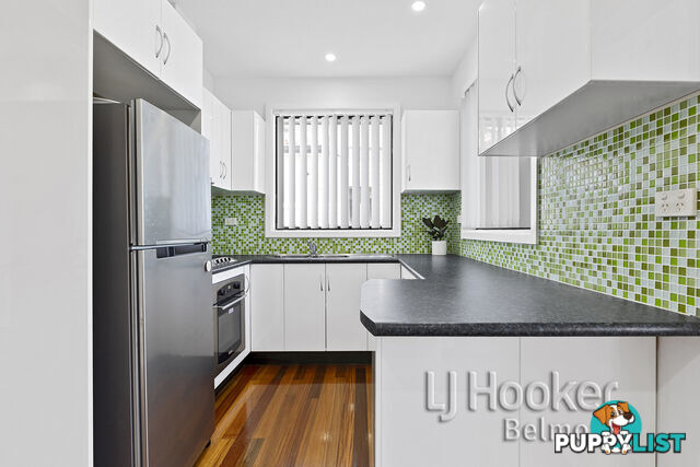 65 Carlton Parade PUNCHBOWL NSW 2196