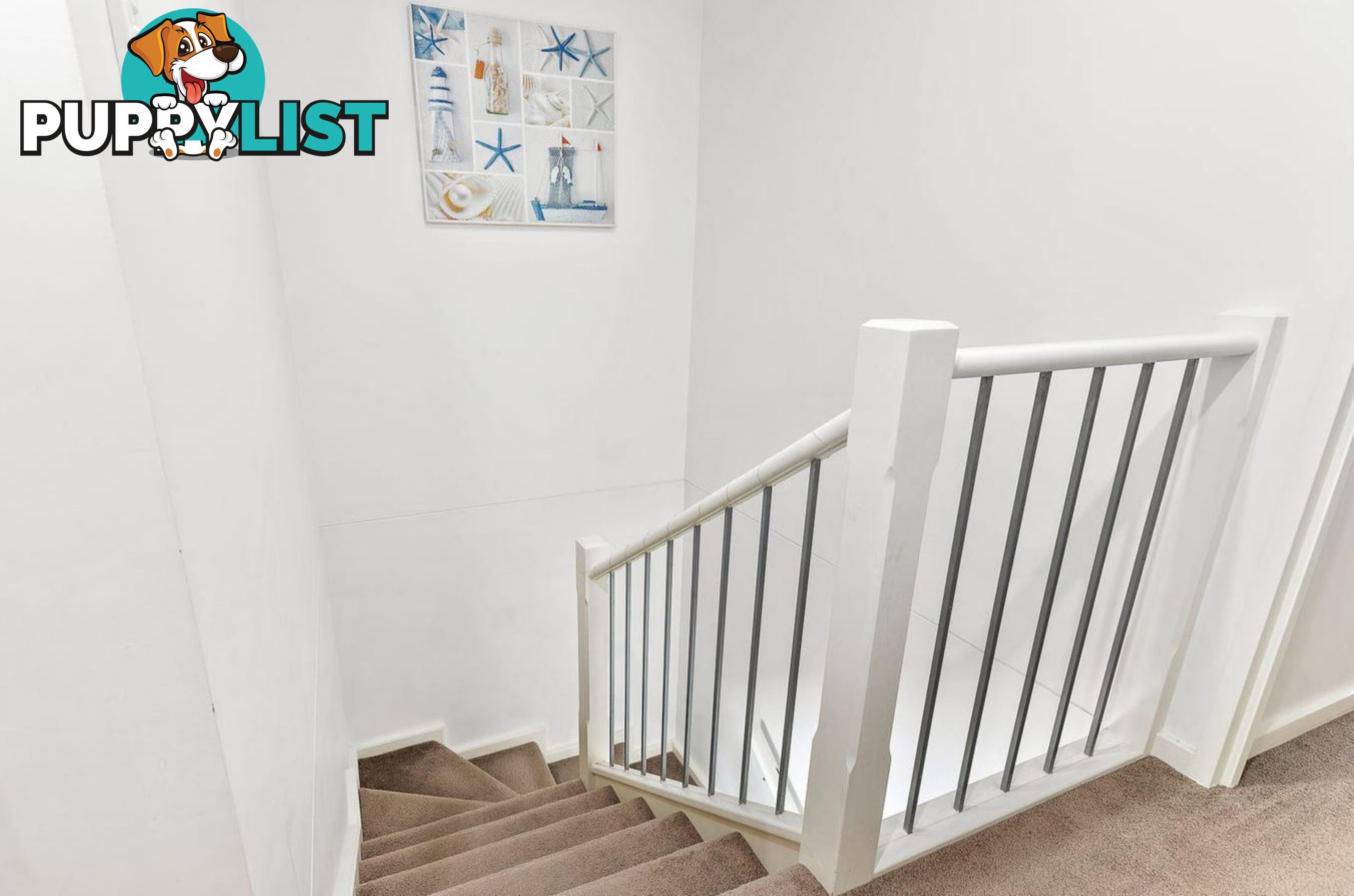 207/531-535 Burwood Road BELMORE NSW 2192