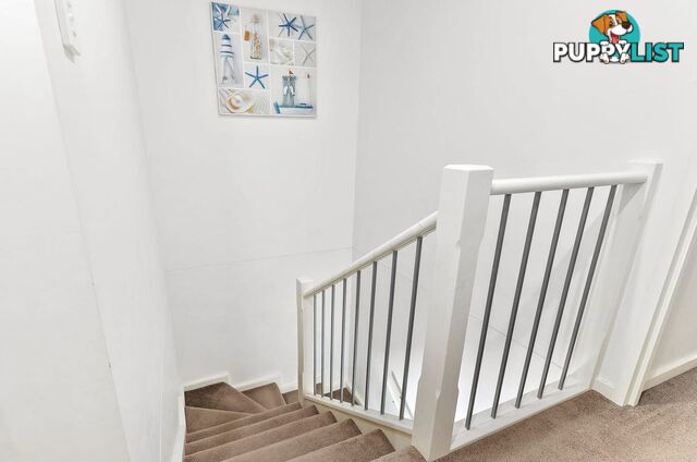 207/531-535 Burwood Road BELMORE NSW 2192