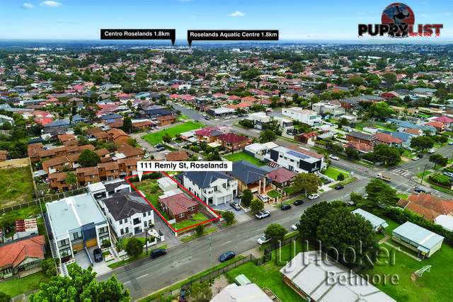 111 Remly Street ROSELANDS NSW 2196