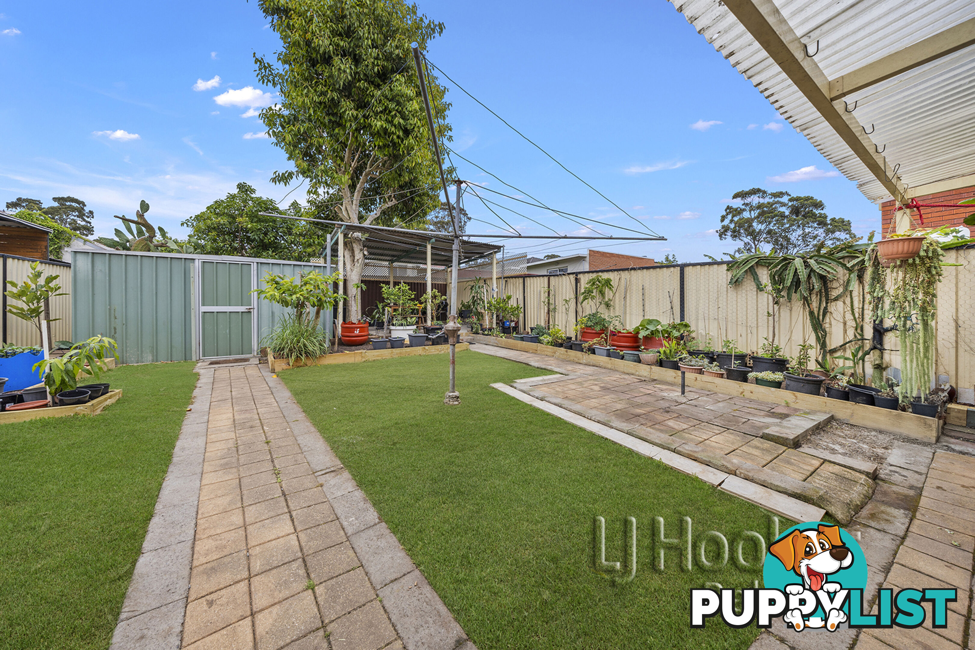 13 Kathleen Street WILEY PARK NSW 2195