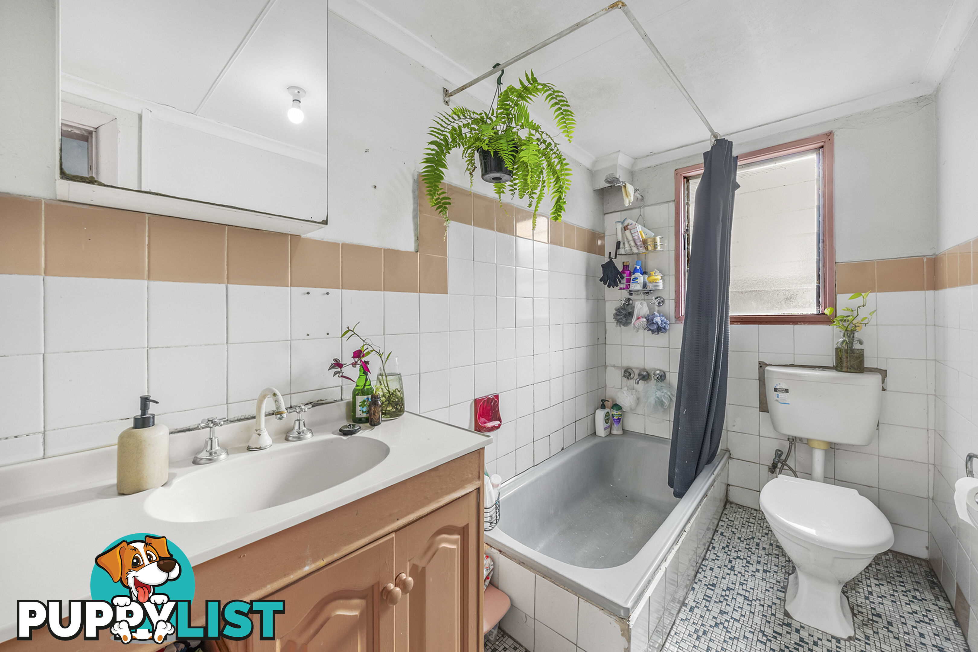 43 May Street ST PETERS NSW 2044