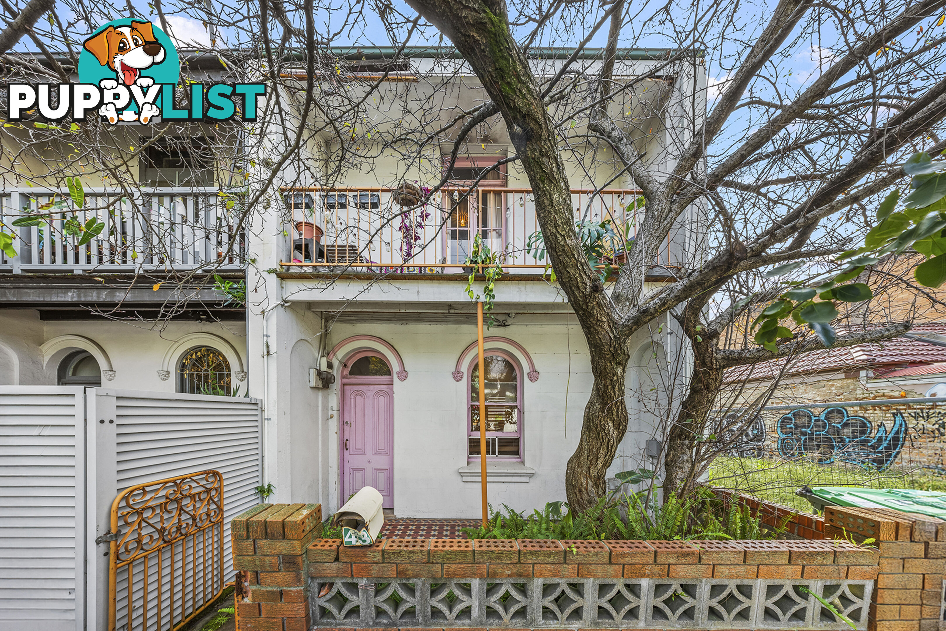 43 May Street ST PETERS NSW 2044