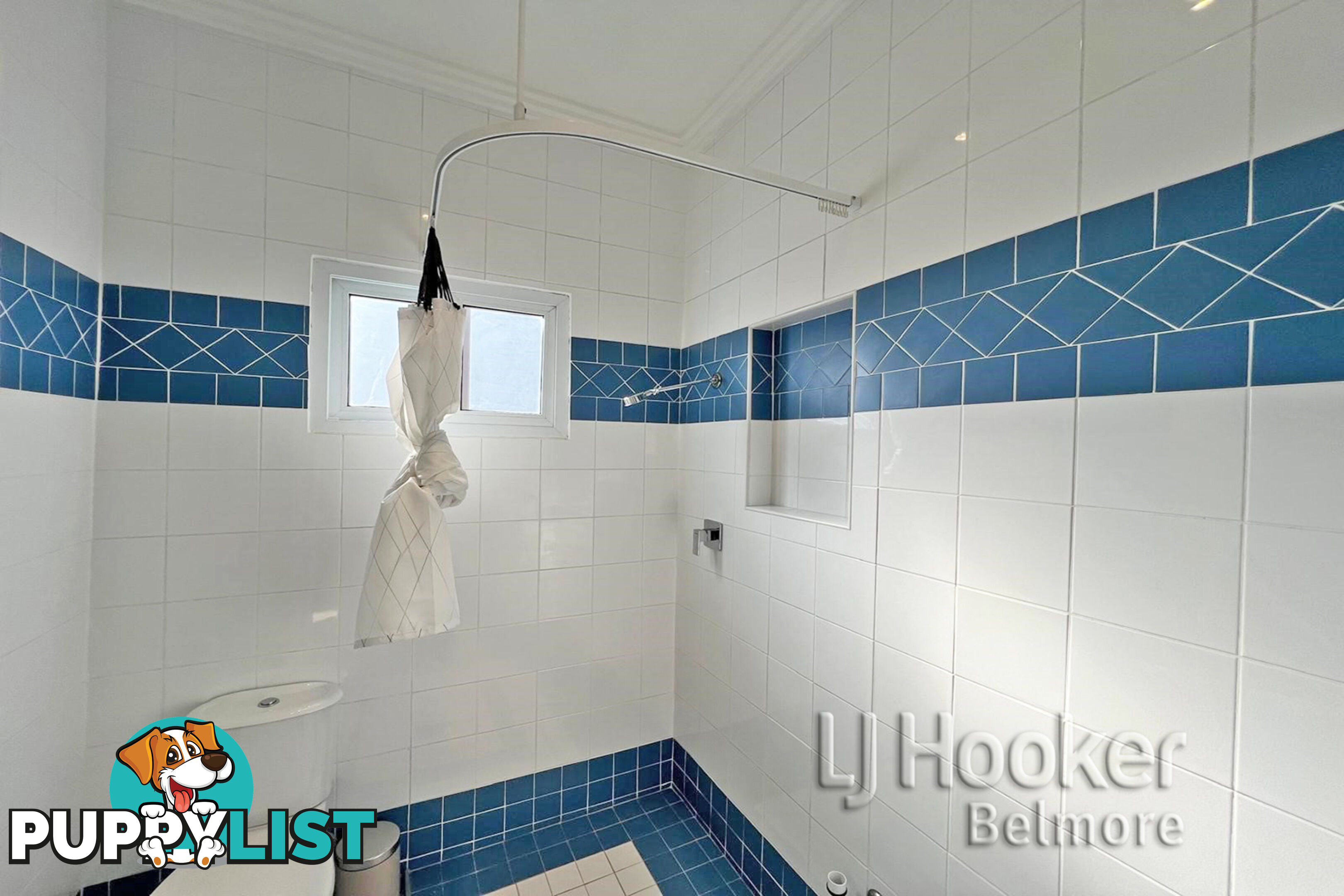 11 Downey Street BEXLEY NSW 2207