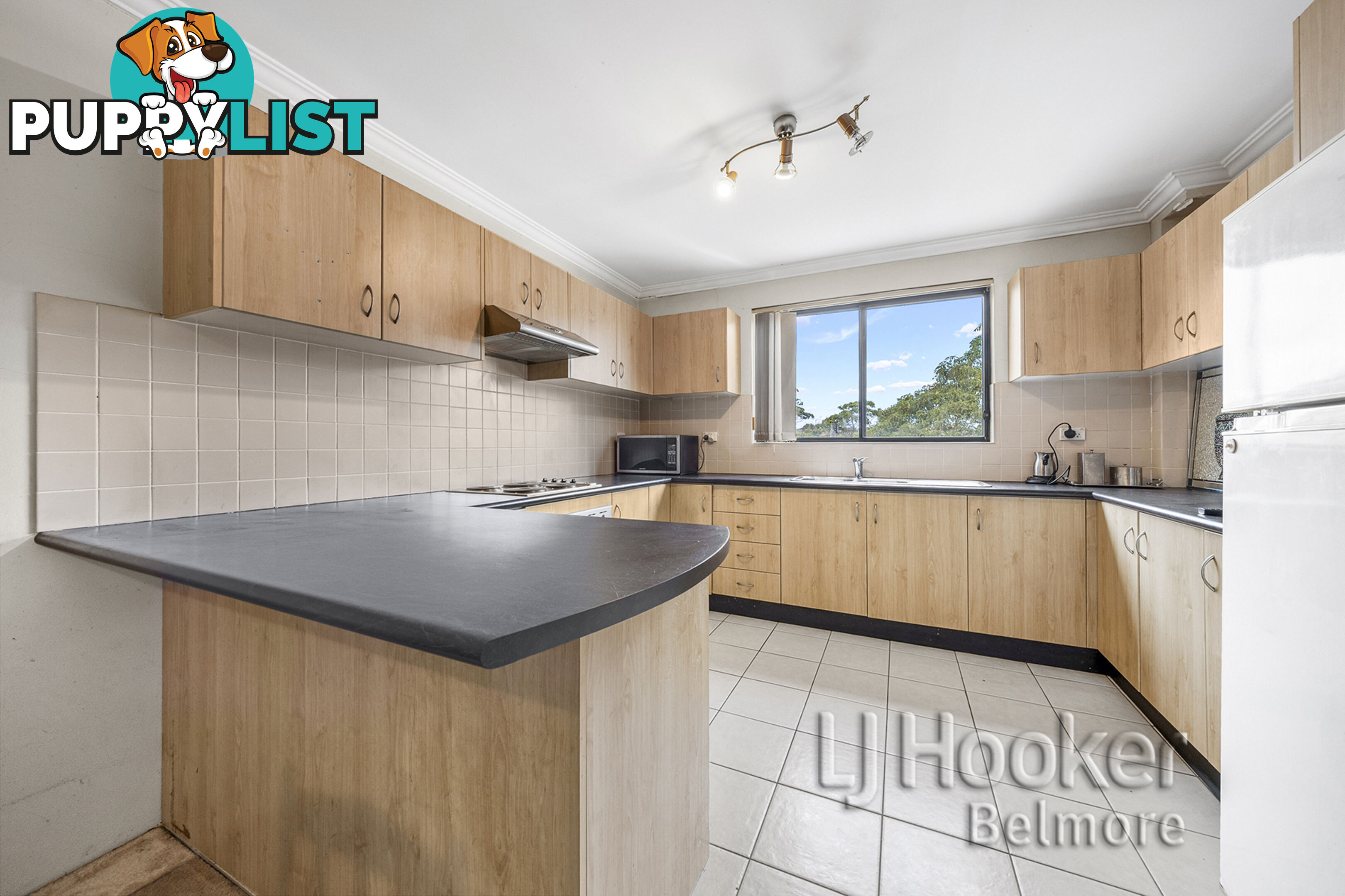 5/31-33 Knox Street BELMORE NSW 2192