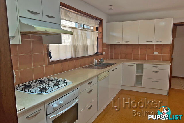 19 Raymond Avenue ROSELANDS NSW 2196