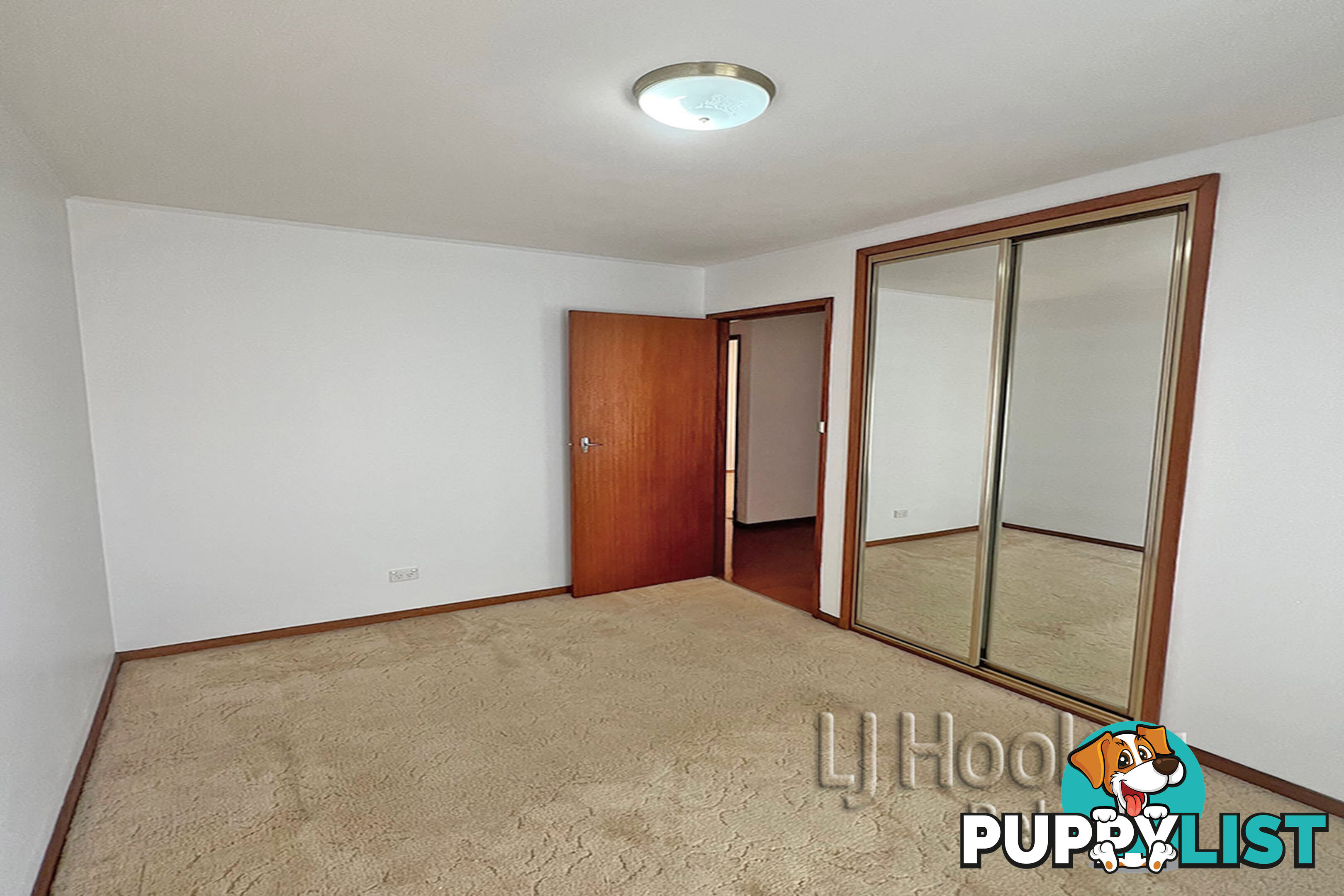 19 Raymond Avenue ROSELANDS NSW 2196