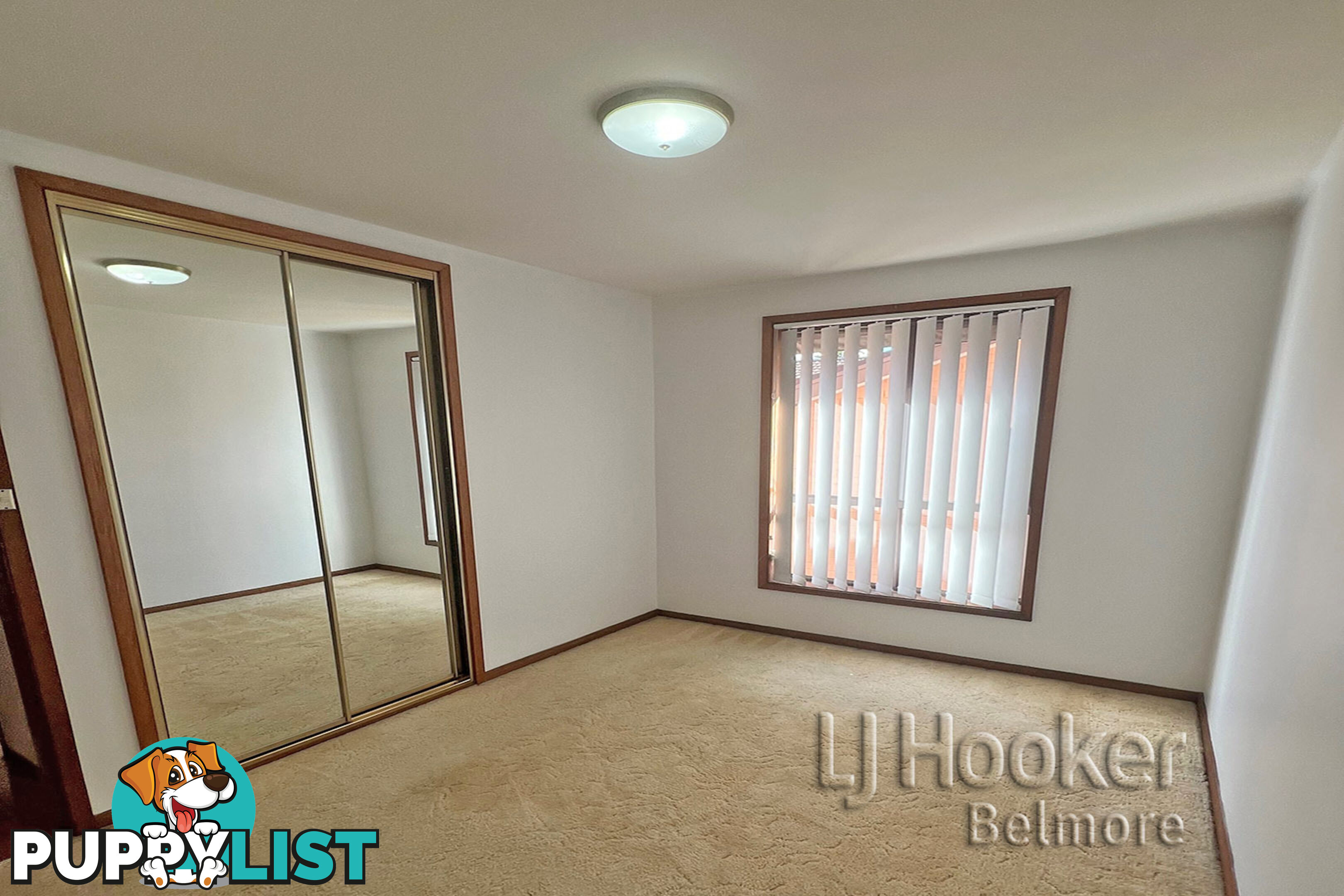 19 Raymond Avenue ROSELANDS NSW 2196