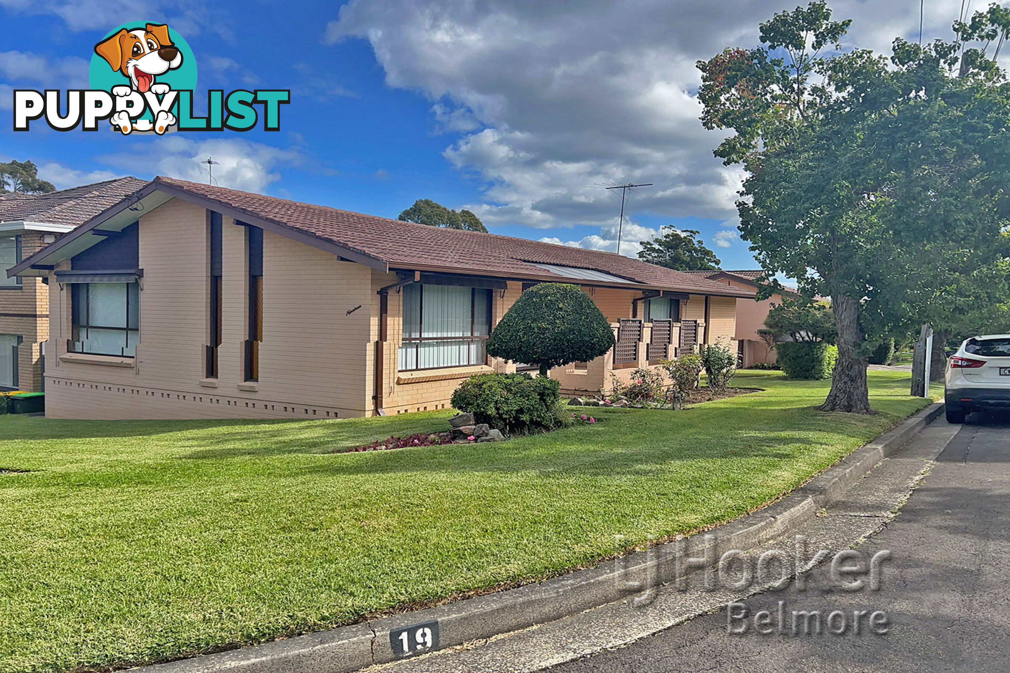 19 Raymond Avenue ROSELANDS NSW 2196