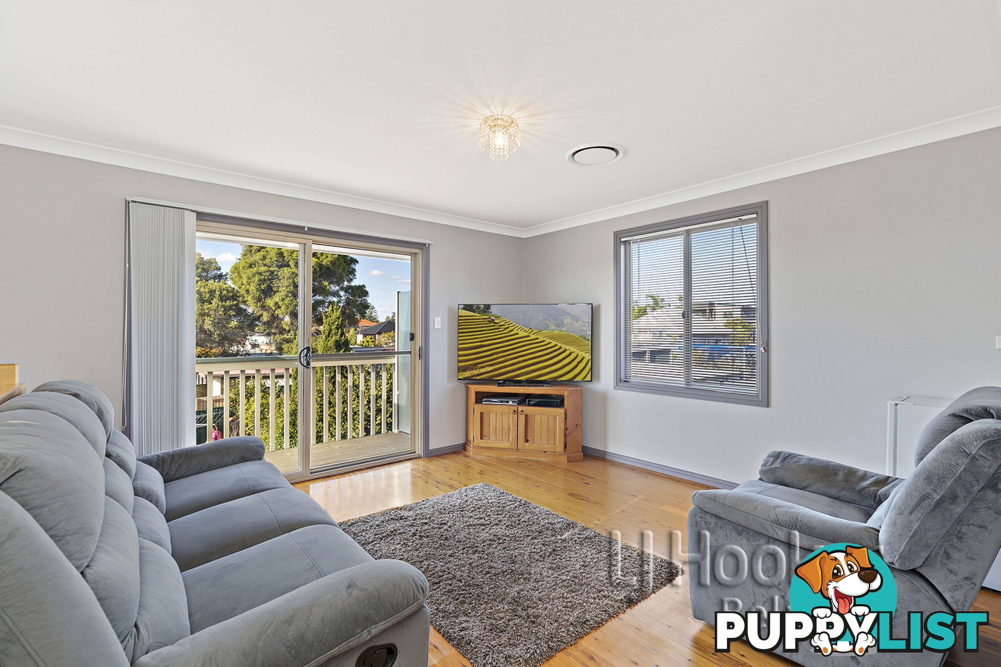 12 Sharp Street BELMORE NSW 2192