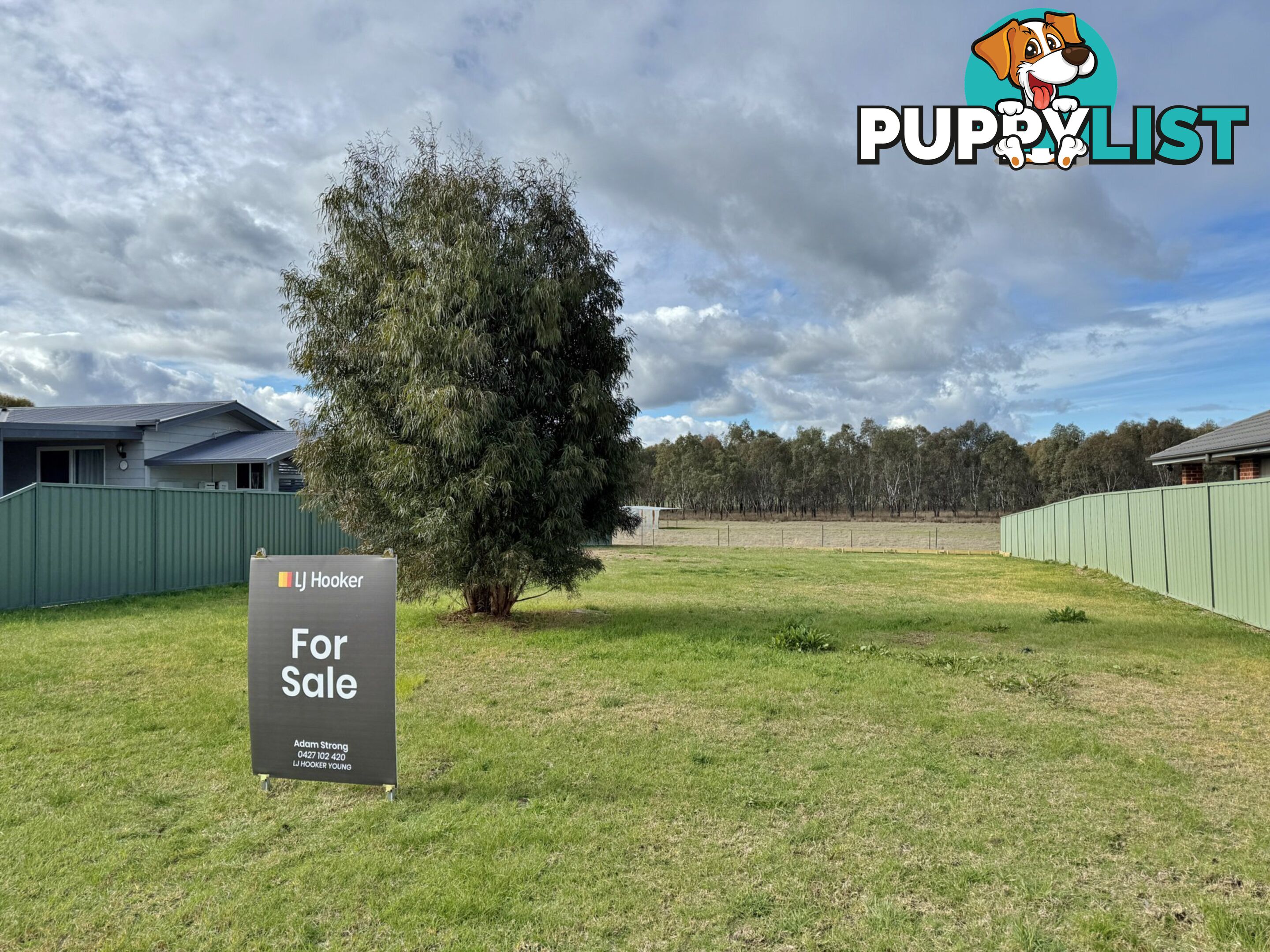12 Pinkstone Avenue COOTAMUNDRA NSW 2590