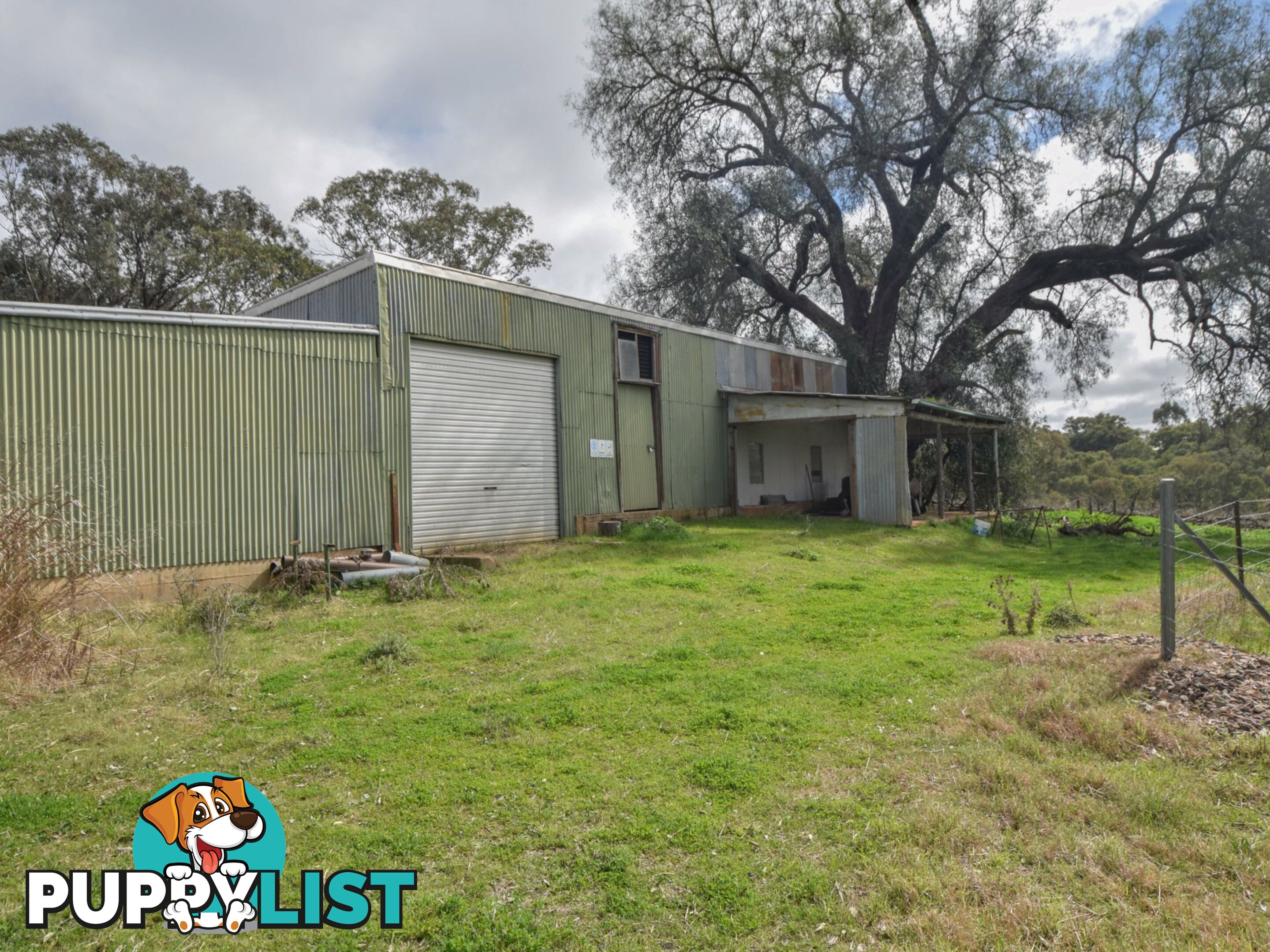 99 Noonans Road YOUNG NSW 2594