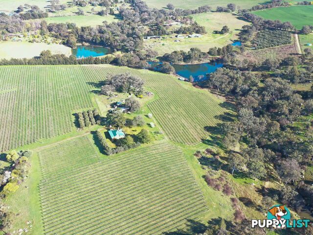 99 Noonans Road YOUNG NSW 2594