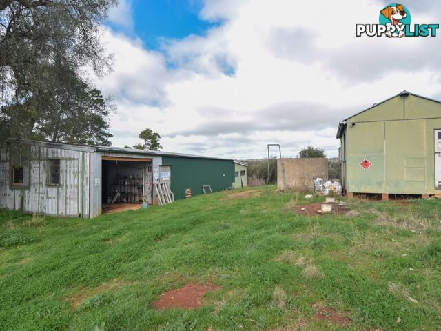 99 Noonans Road YOUNG NSW 2594