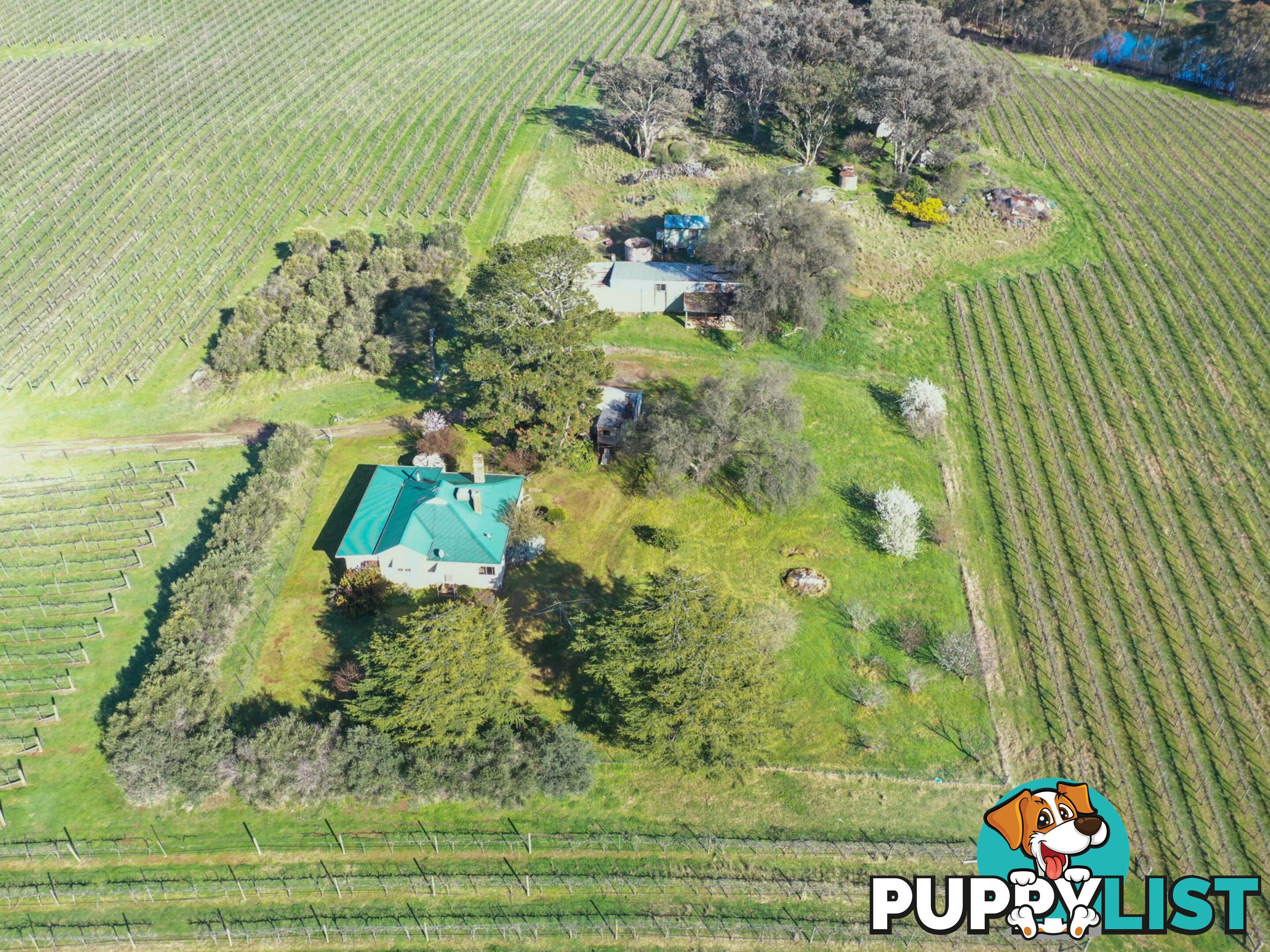 99 Noonans Road YOUNG NSW 2594