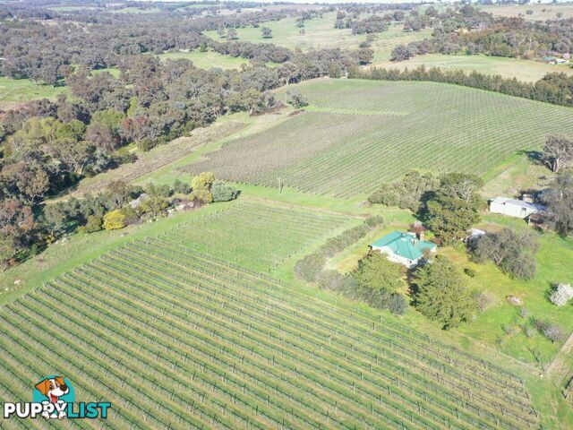 99 Noonans Road YOUNG NSW 2594