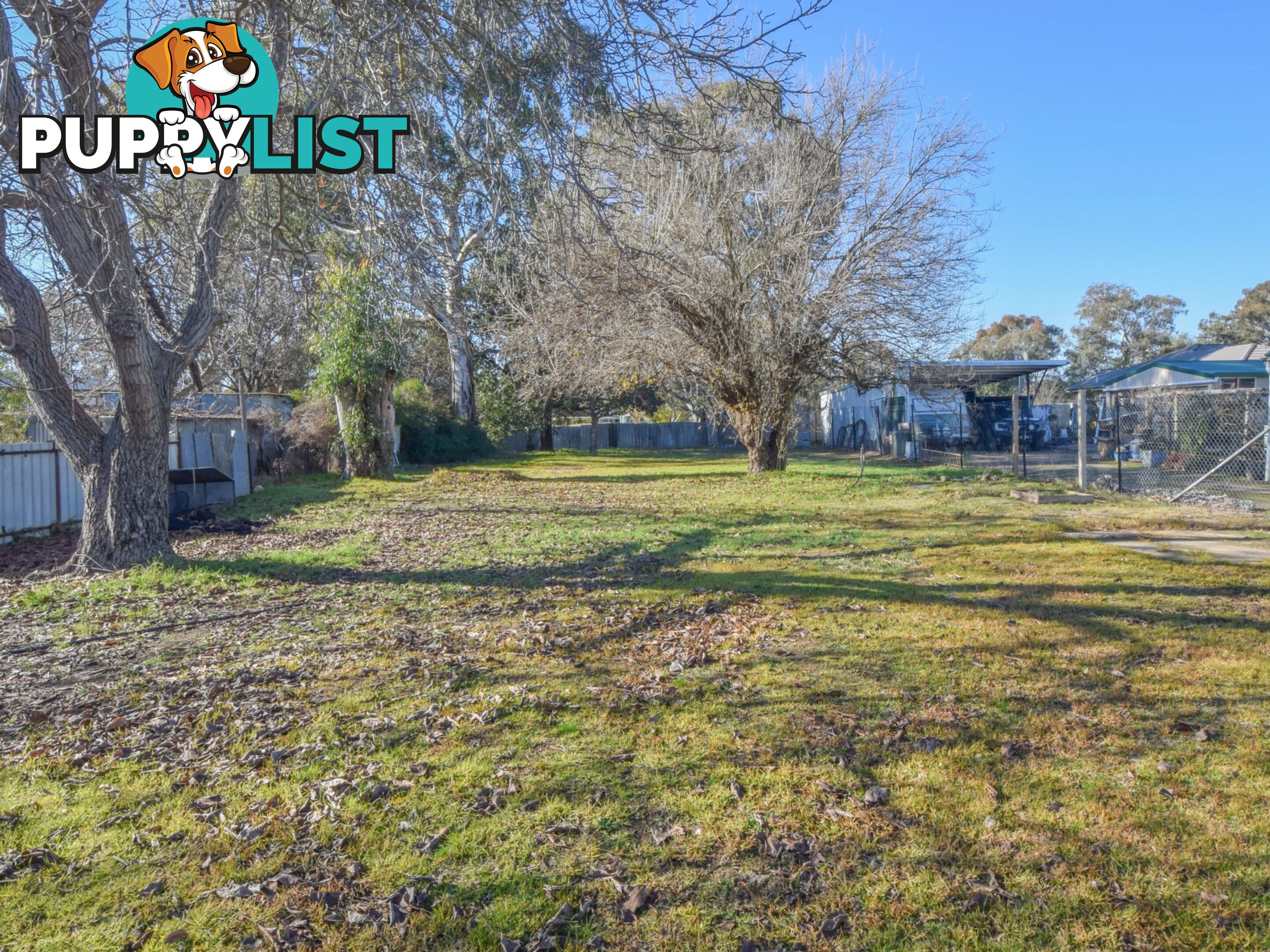20 Binalong Street YOUNG NSW 2594