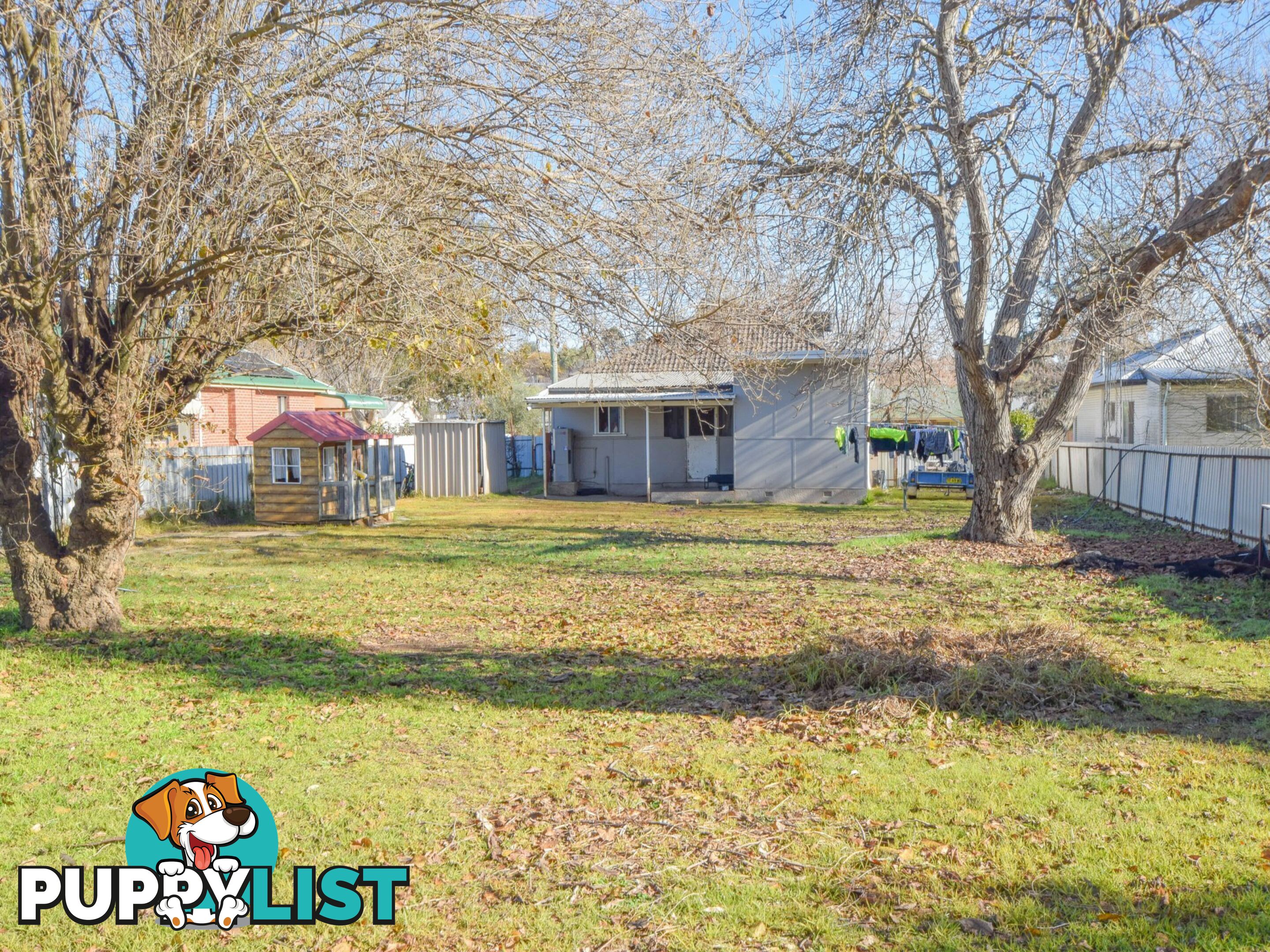 20 Binalong Street YOUNG NSW 2594