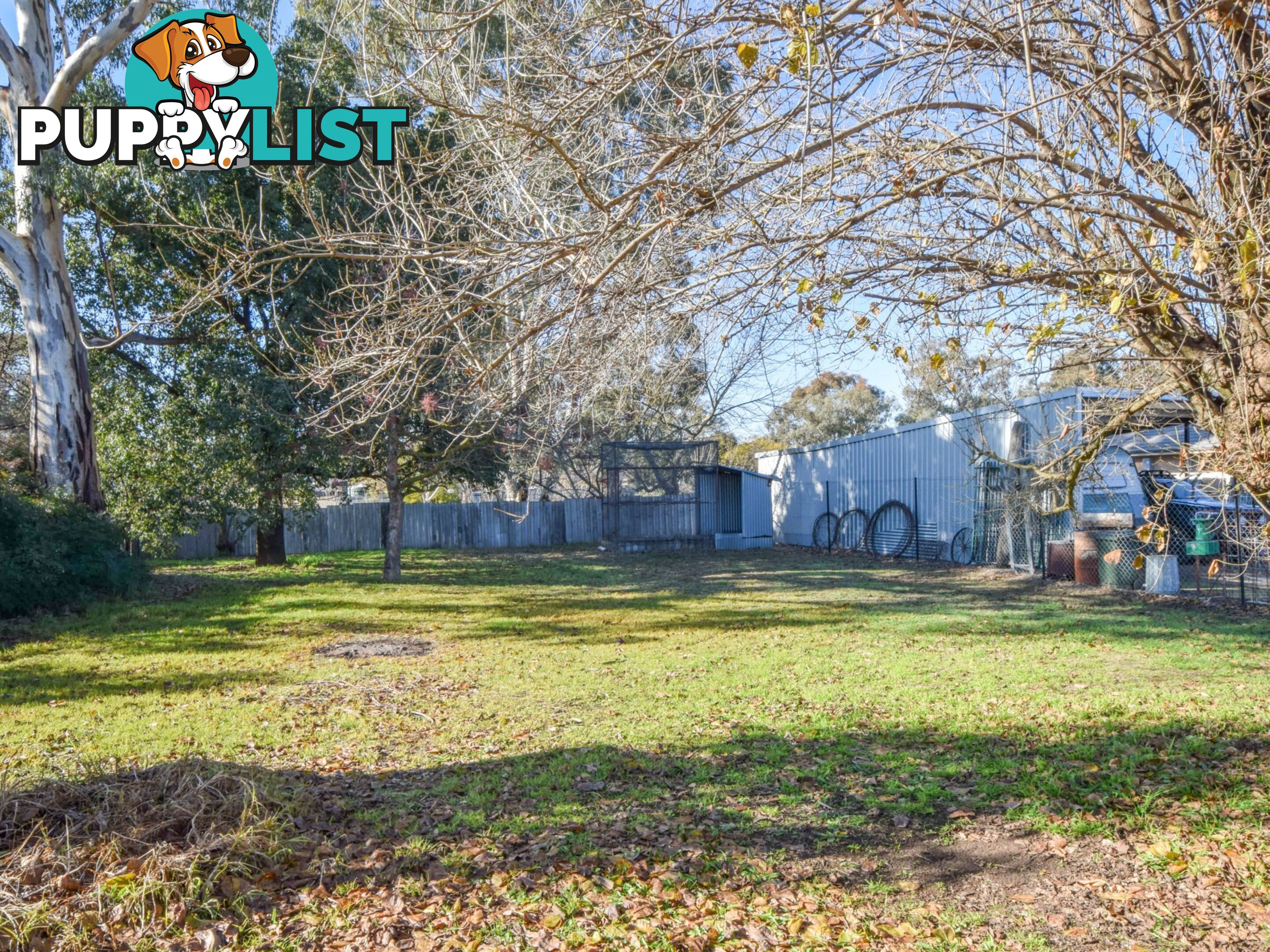 20 Binalong Street YOUNG NSW 2594
