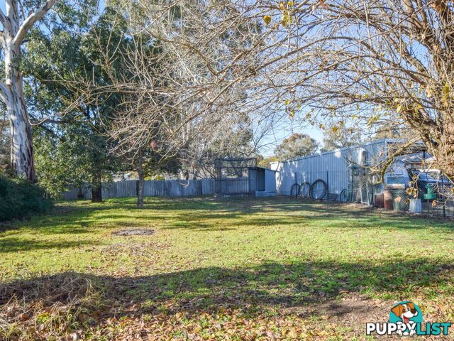 20 Binalong Street YOUNG NSW 2594