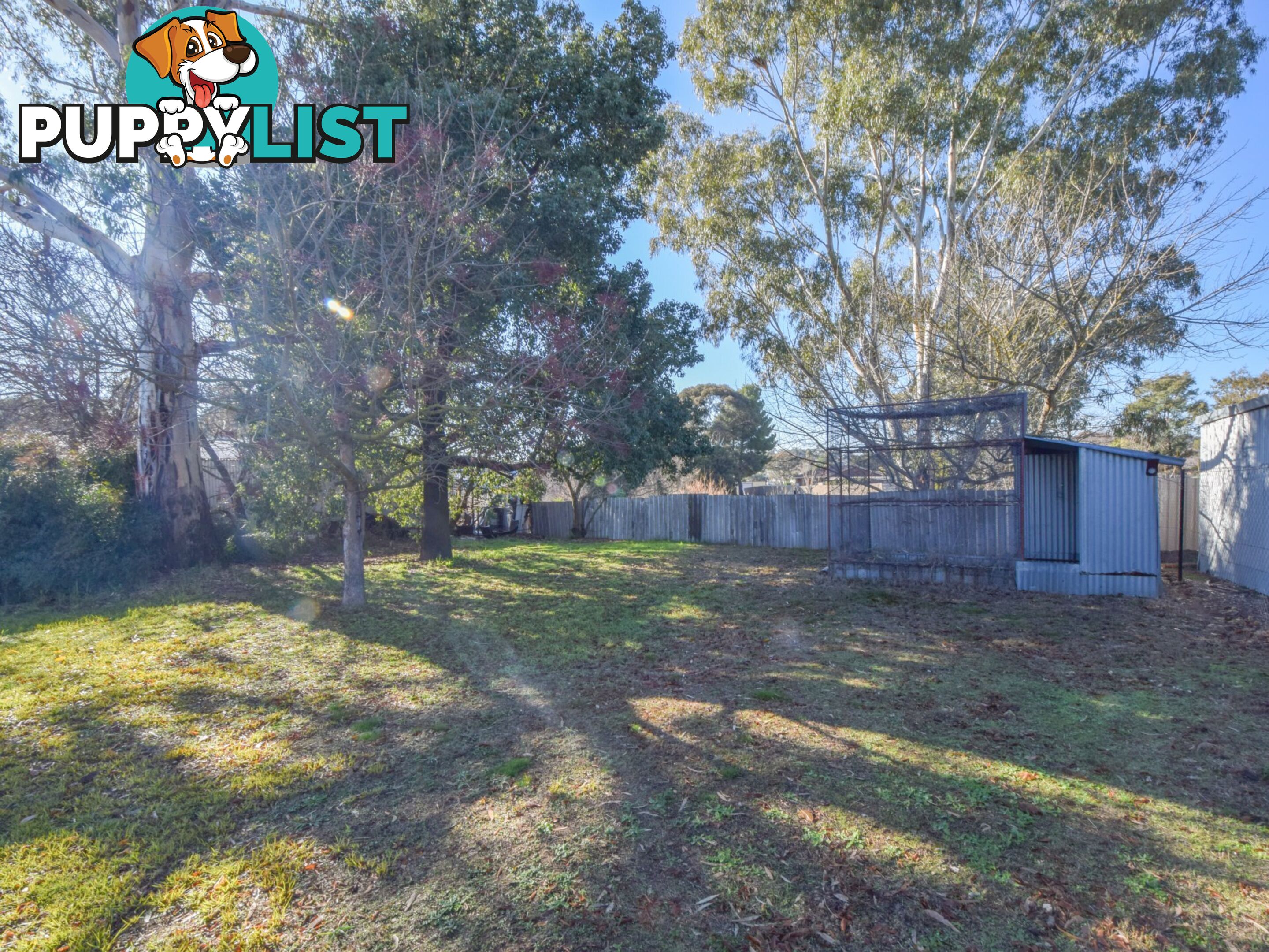 20 Binalong Street YOUNG NSW 2594